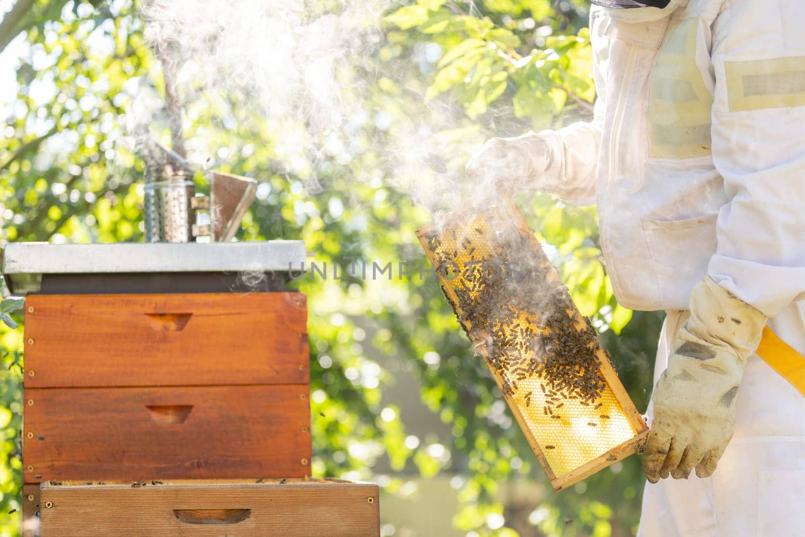 Beekeeper holding honey comb or frame with full of bees on his huge an apiary, beekeeping concept