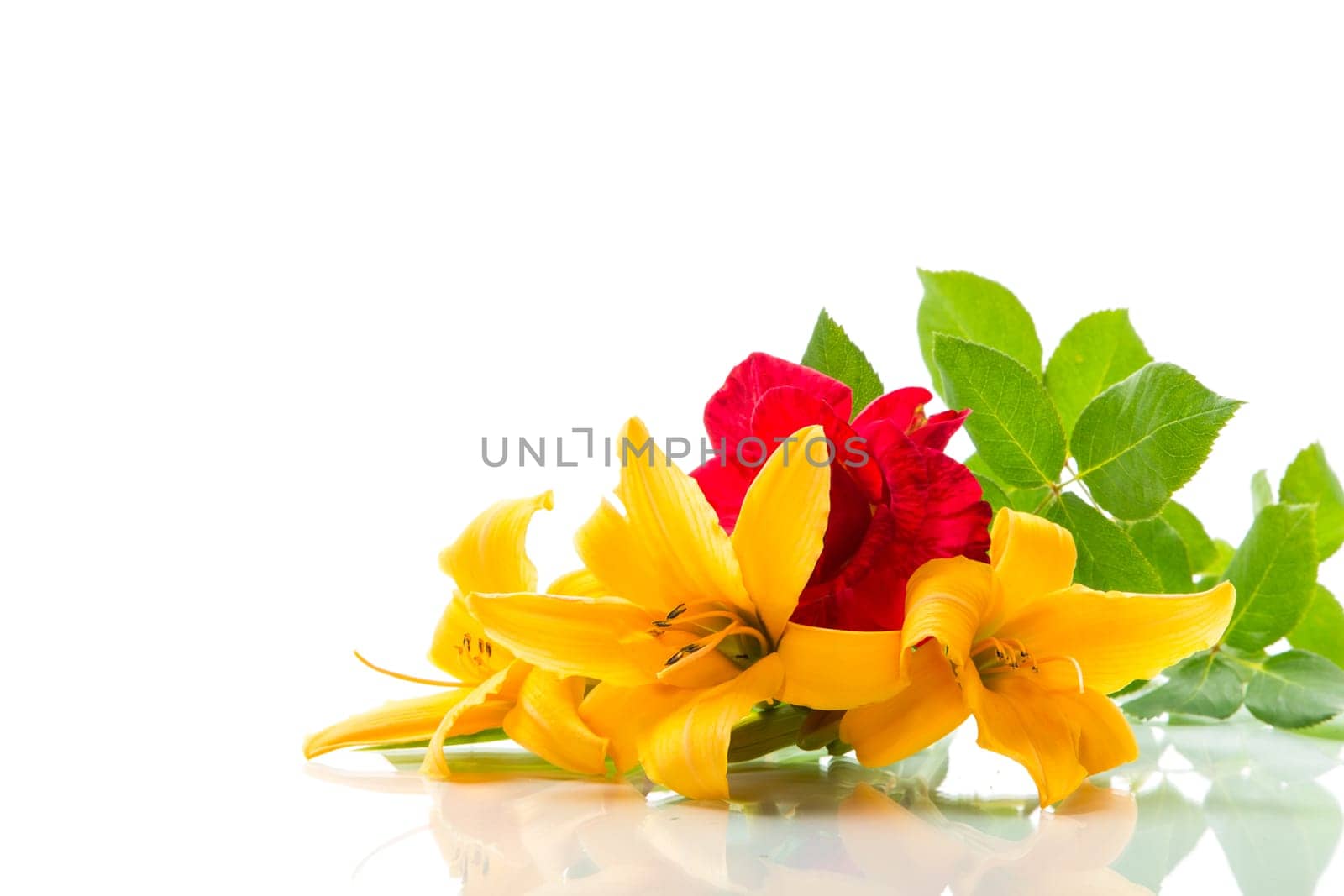 bouquet of beautiful yellow lilies, isolated on white background.