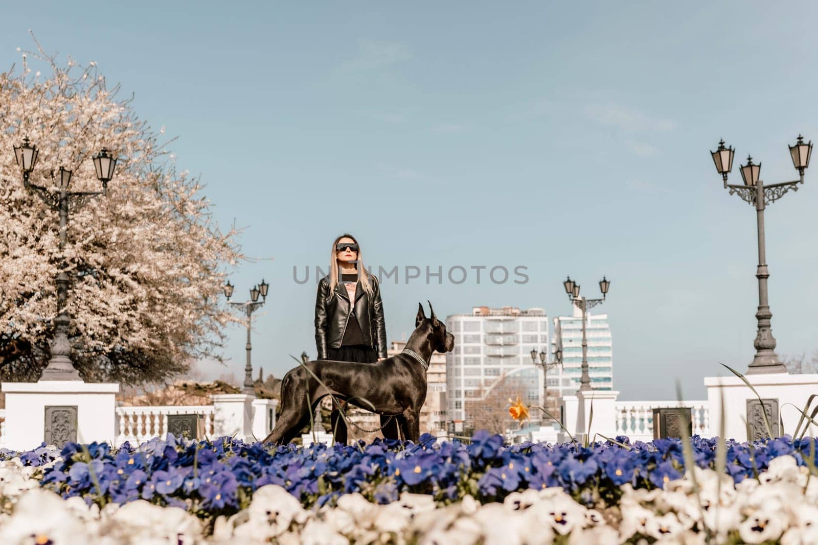 A woman walks with her Great Dane in an urban setting, enjoying the outdoors and the company of her dog. by Matiunina