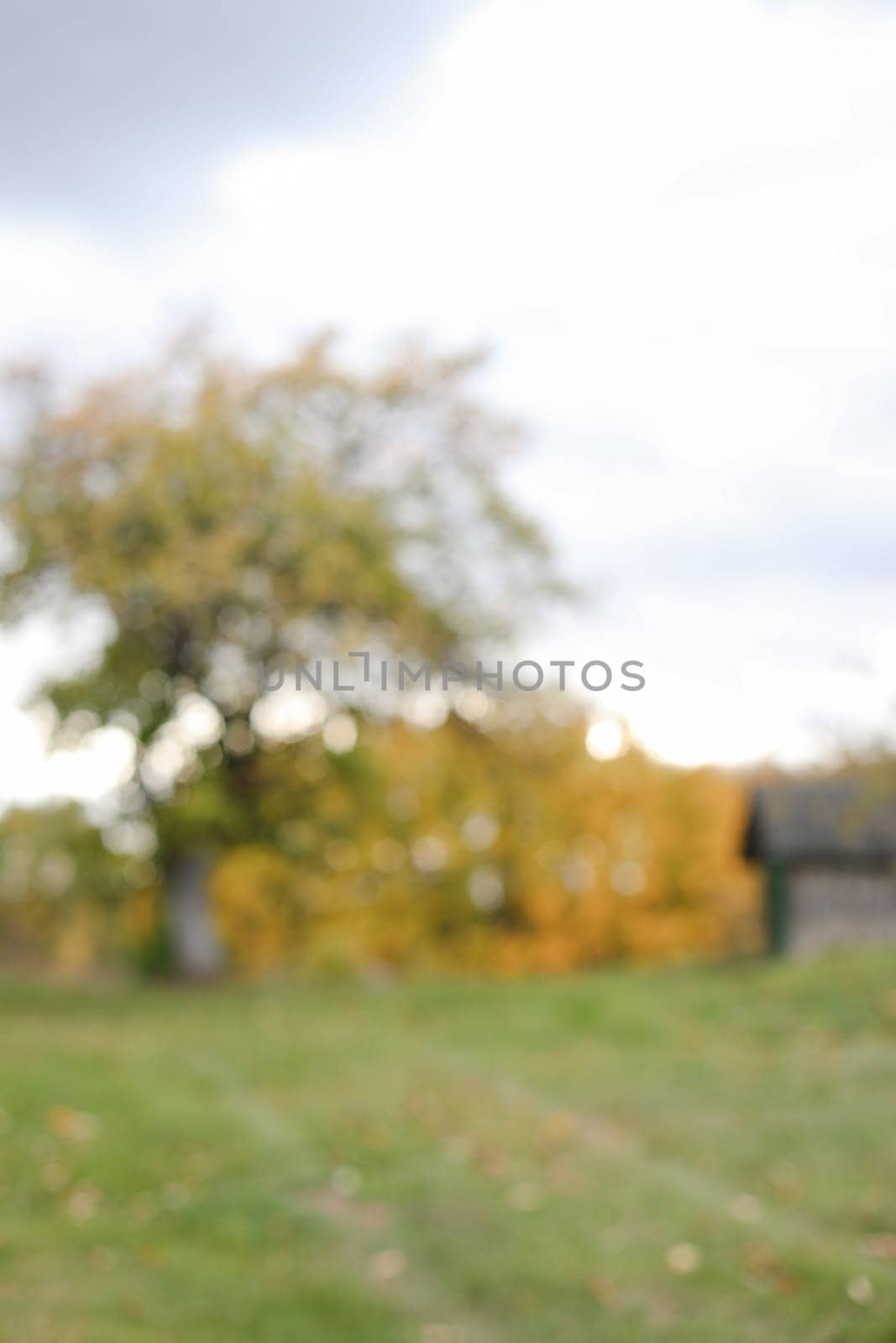 Autumn banner natural blurred background. farmland, meadows and trees in autumn with golden brown leaves on the trees. scenic image of picturesque rural nature in countryside in autumn.