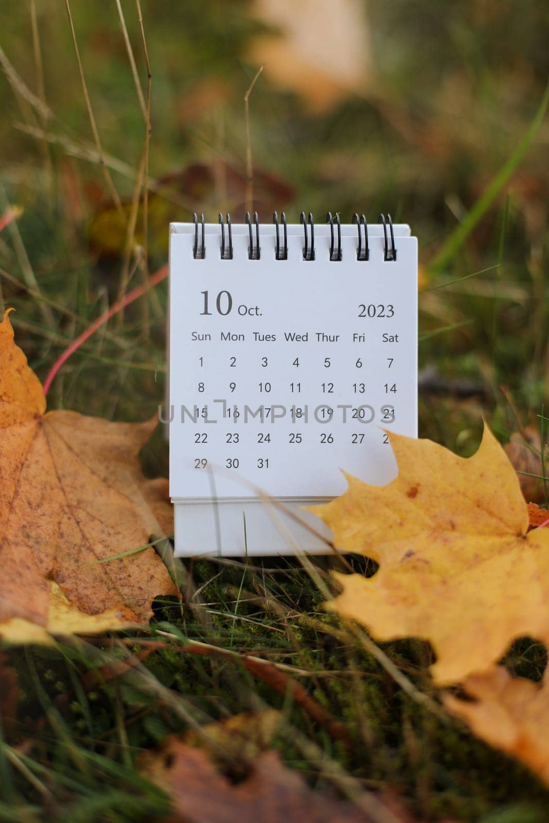 October calendar. Place for text. Maple leaves on the background. Fall vibes. Cozy autumn style