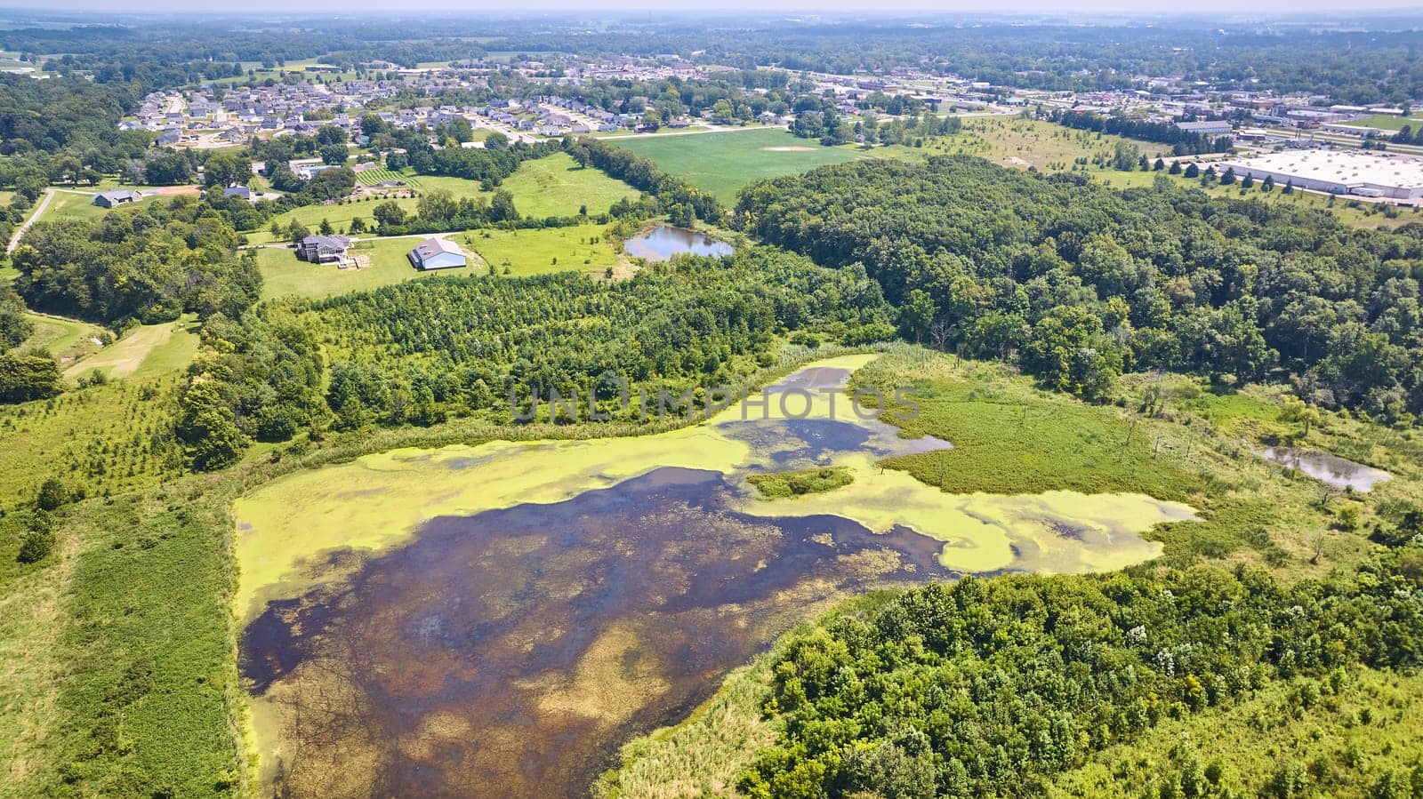 Image of Swamp land with green algae bloom aerial with houses and neighborhoods further away