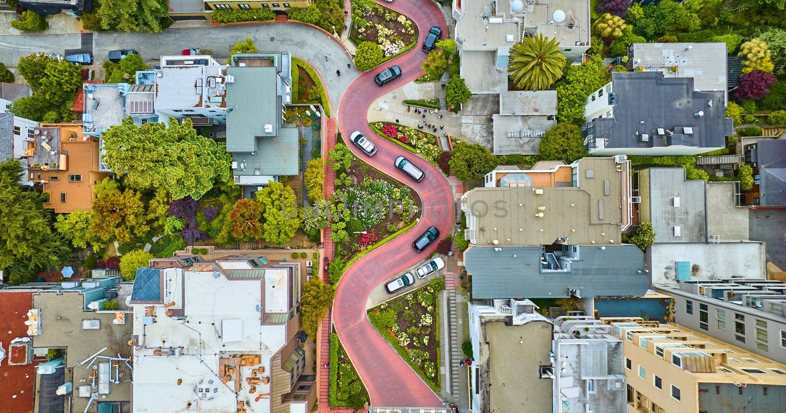 Image of Aerial straight down Lombard Street with road running vertically