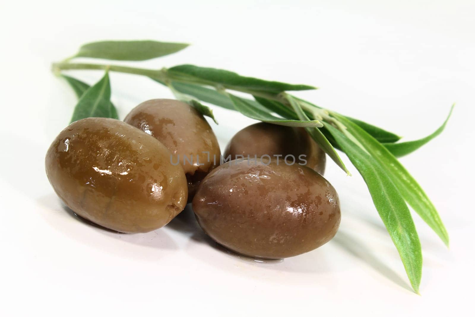 Green olives and olive branch against white background