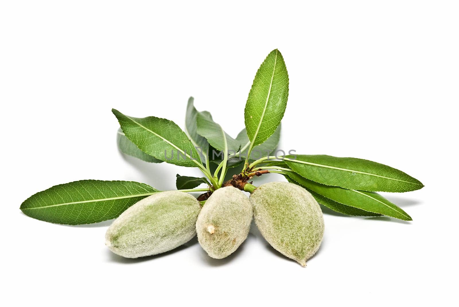 Green raw almonds isolated over a white background.