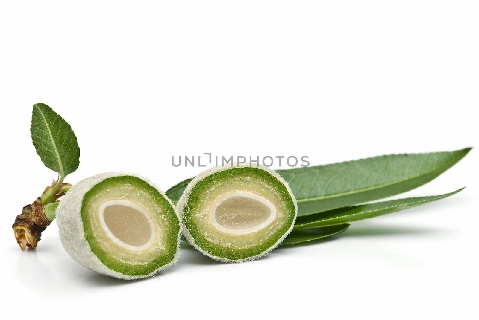 Green raw almonds isolated over a white background.