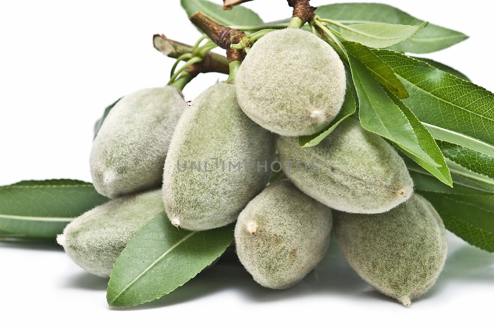 Green raw almonds isolated over a white background.