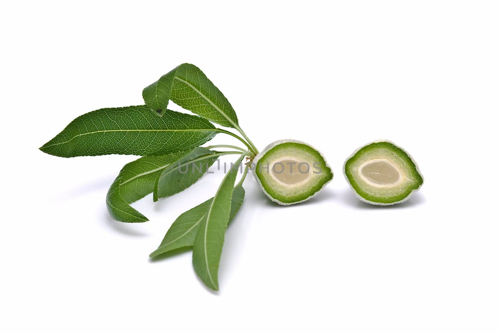Green raw almonds isolated over a white background.