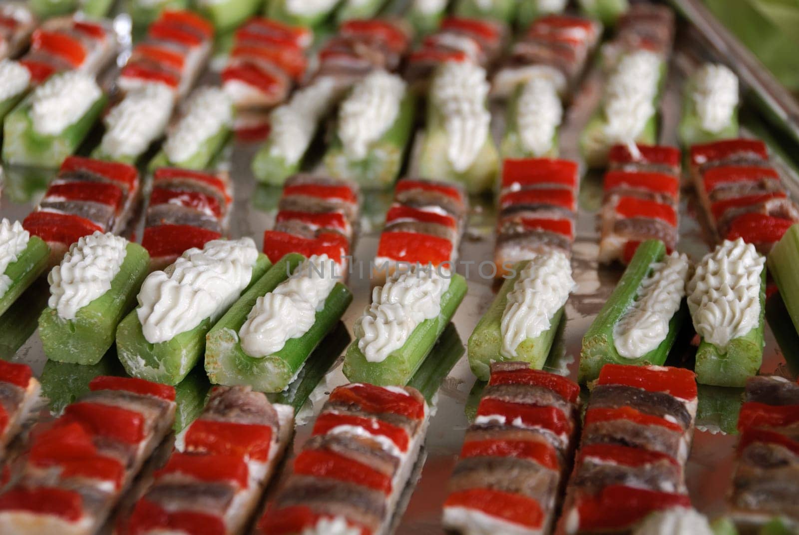 appetizer stuffed with vegetables and zucchini