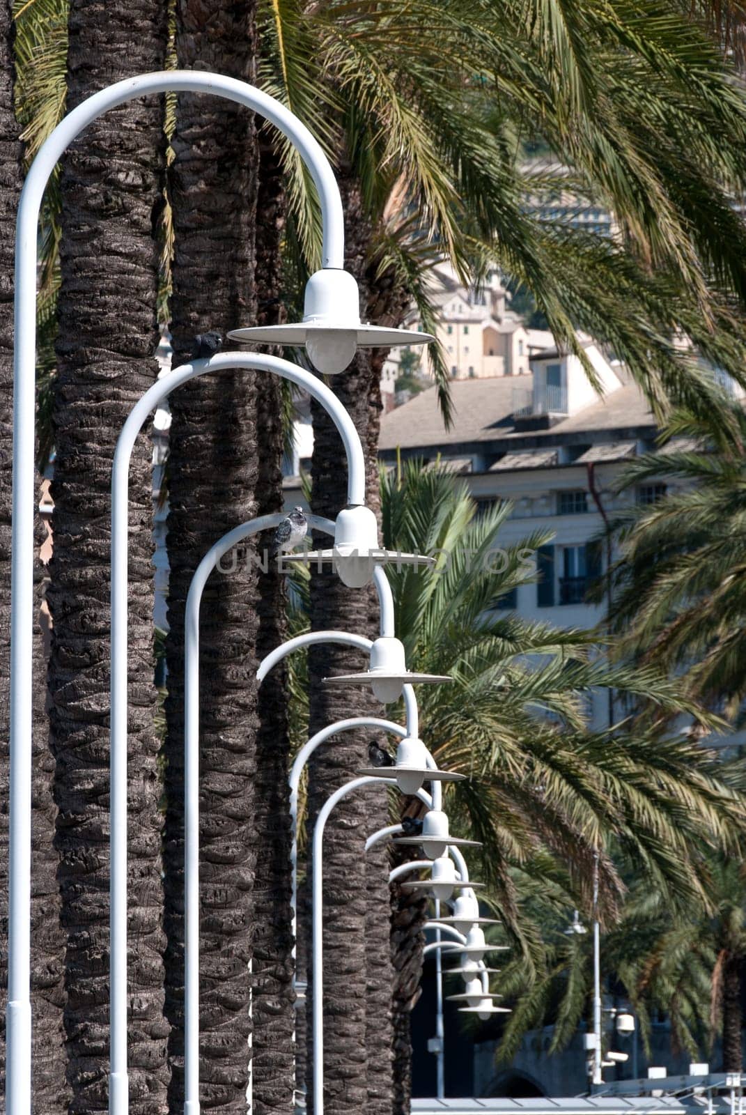 series of street lamps lit up at night
