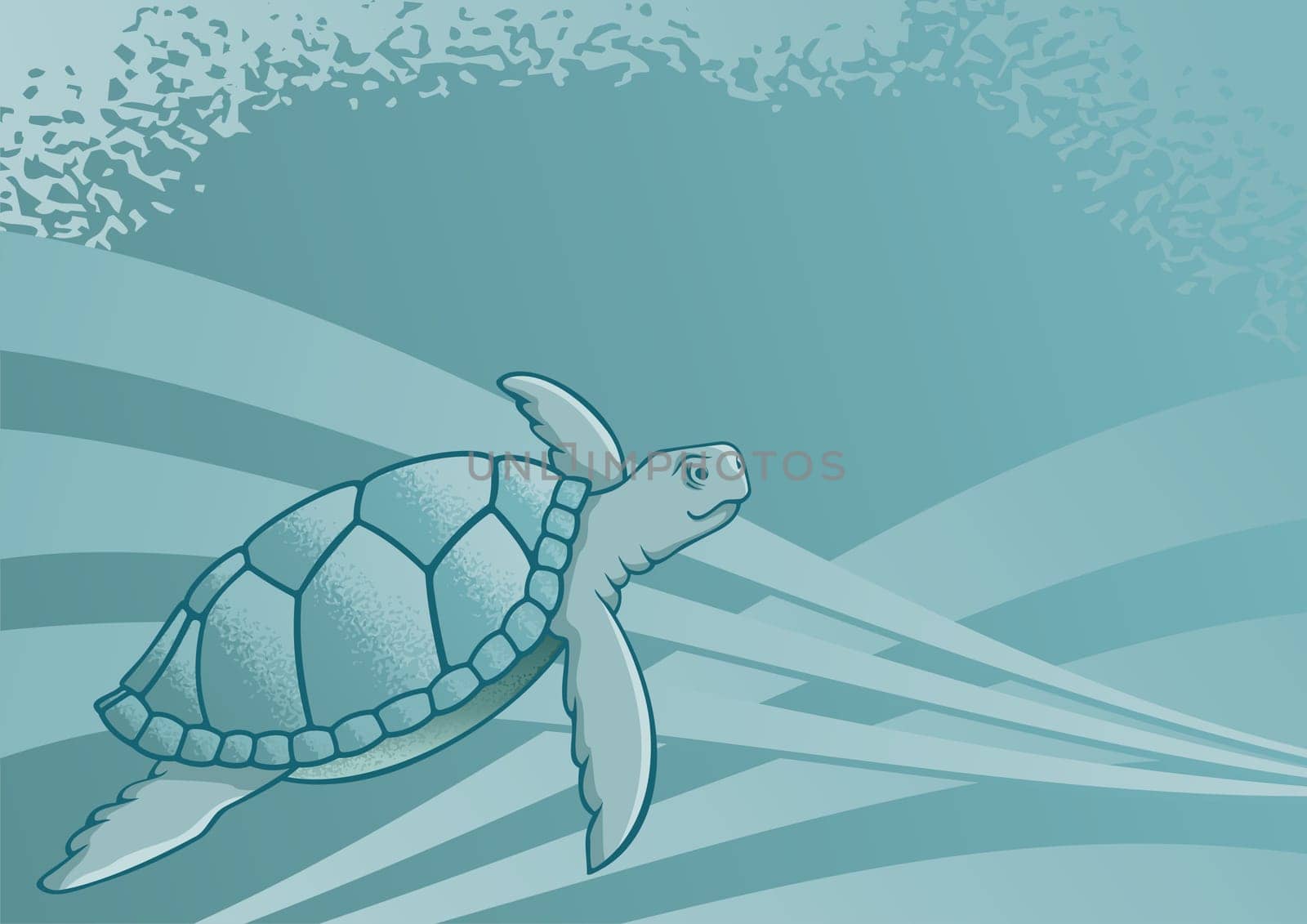 Sea turtle background for page layout or presentations