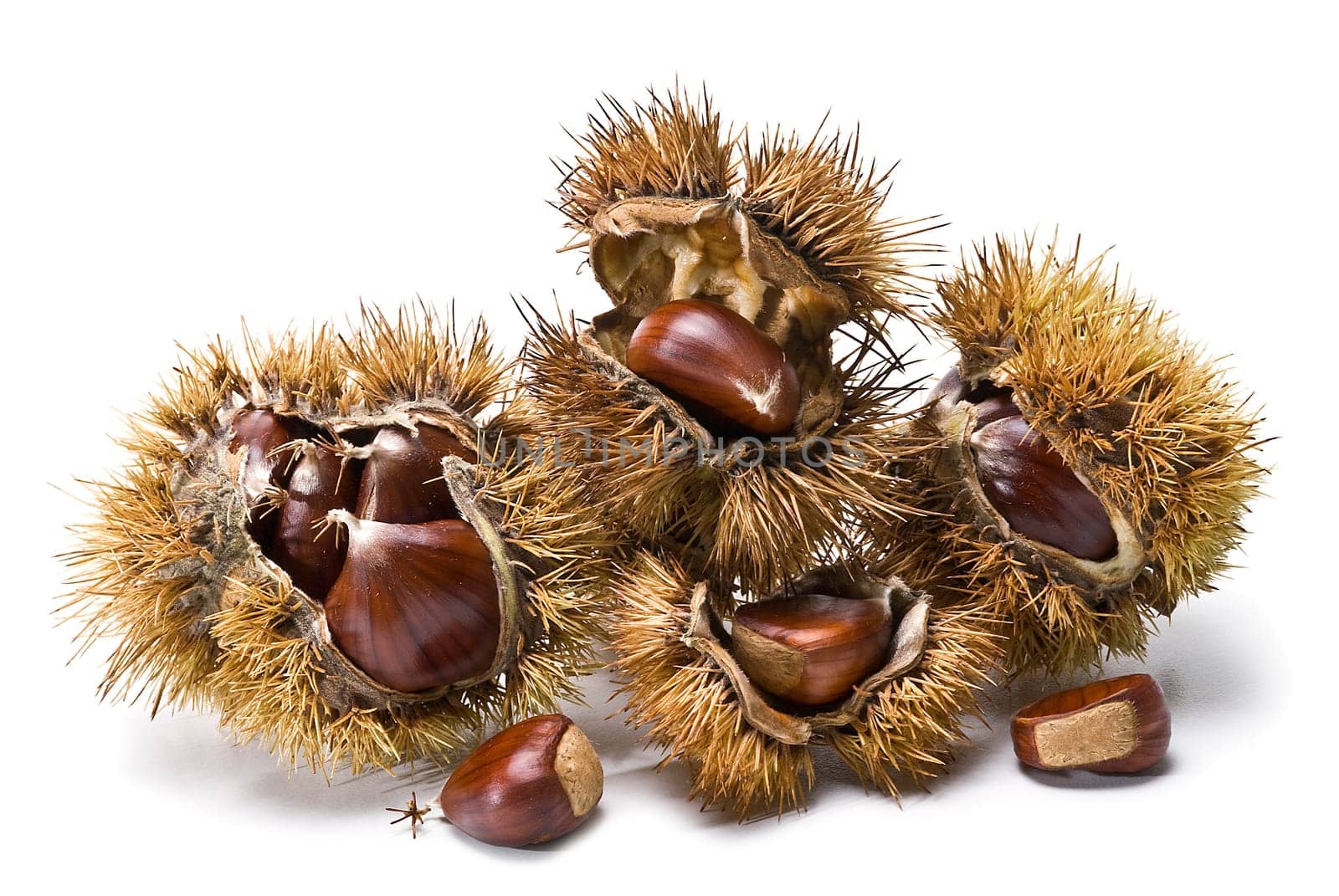 Some fresh chestnuts isolated over a white background.