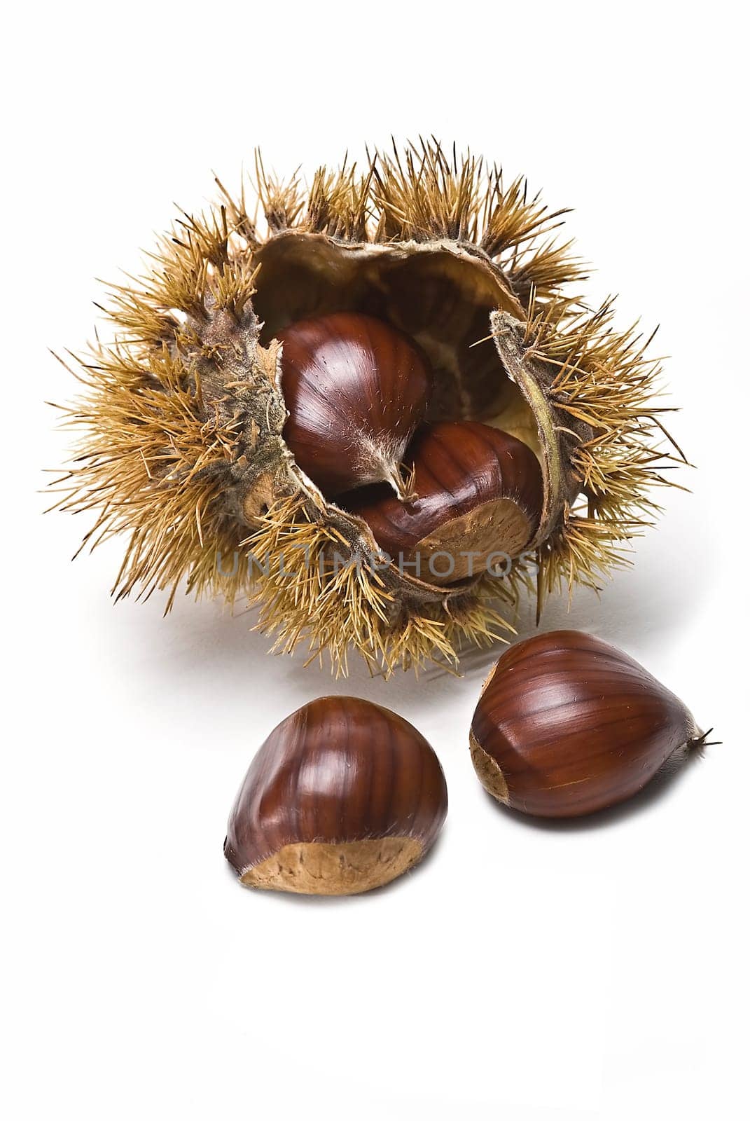 Some fresh chestnuts isolated over a white background.