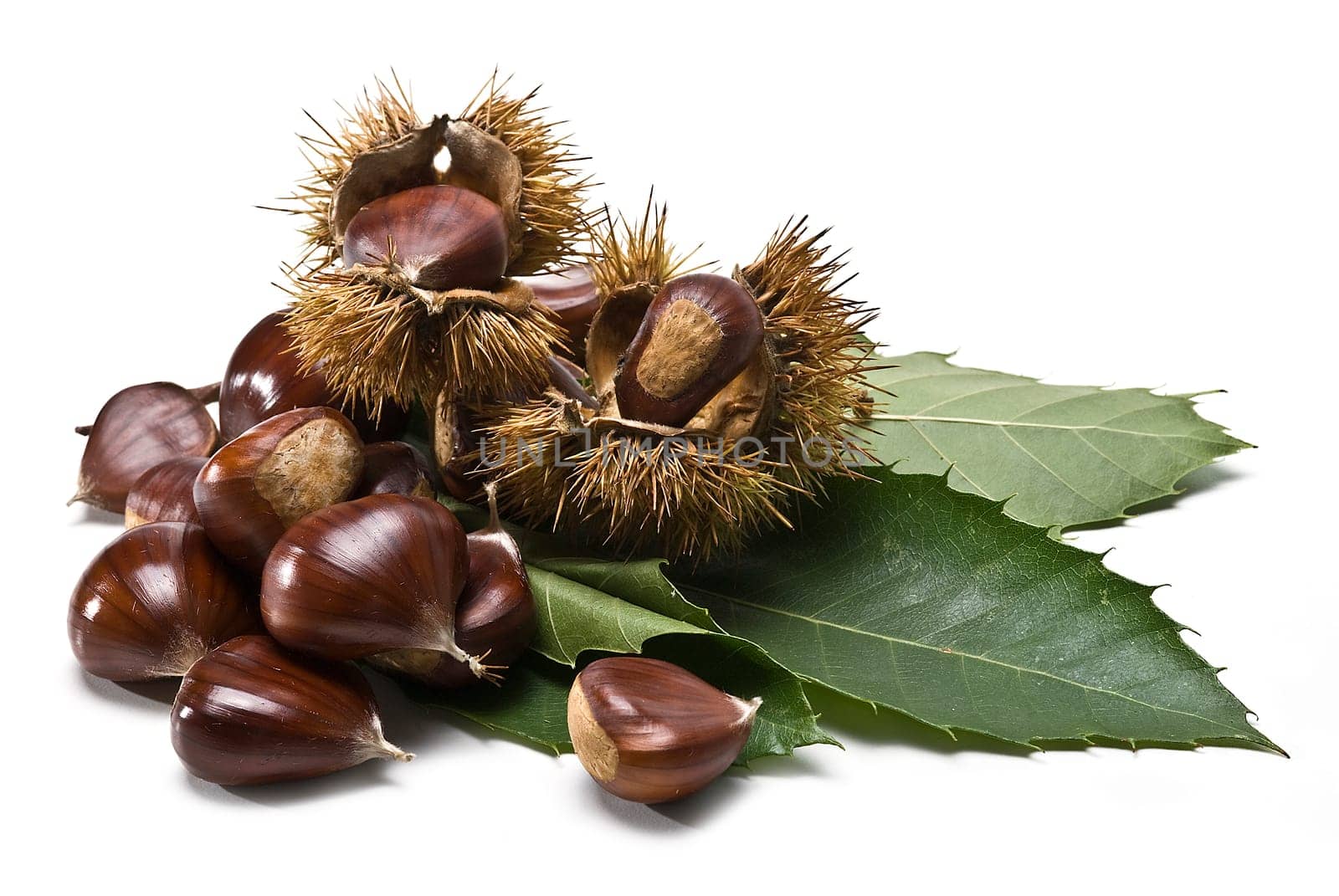 Some fresh chestnuts isolated over a white background.