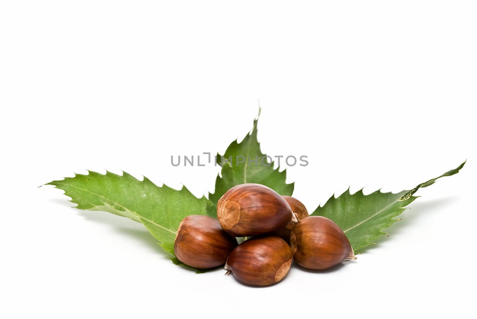 Some fresh chestnuts isolated over a white background.