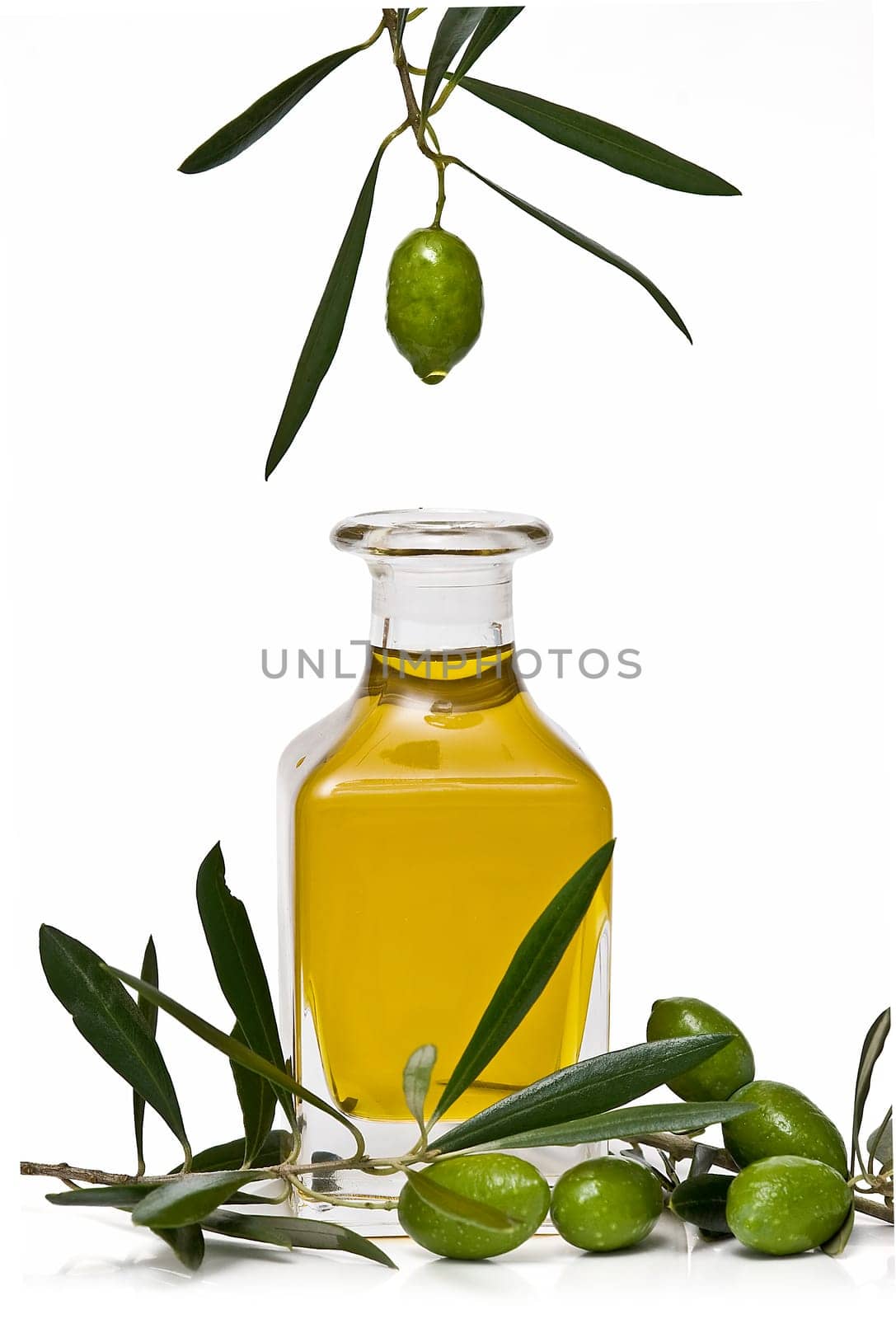 Olive oil dripping from one green olive over a white background.