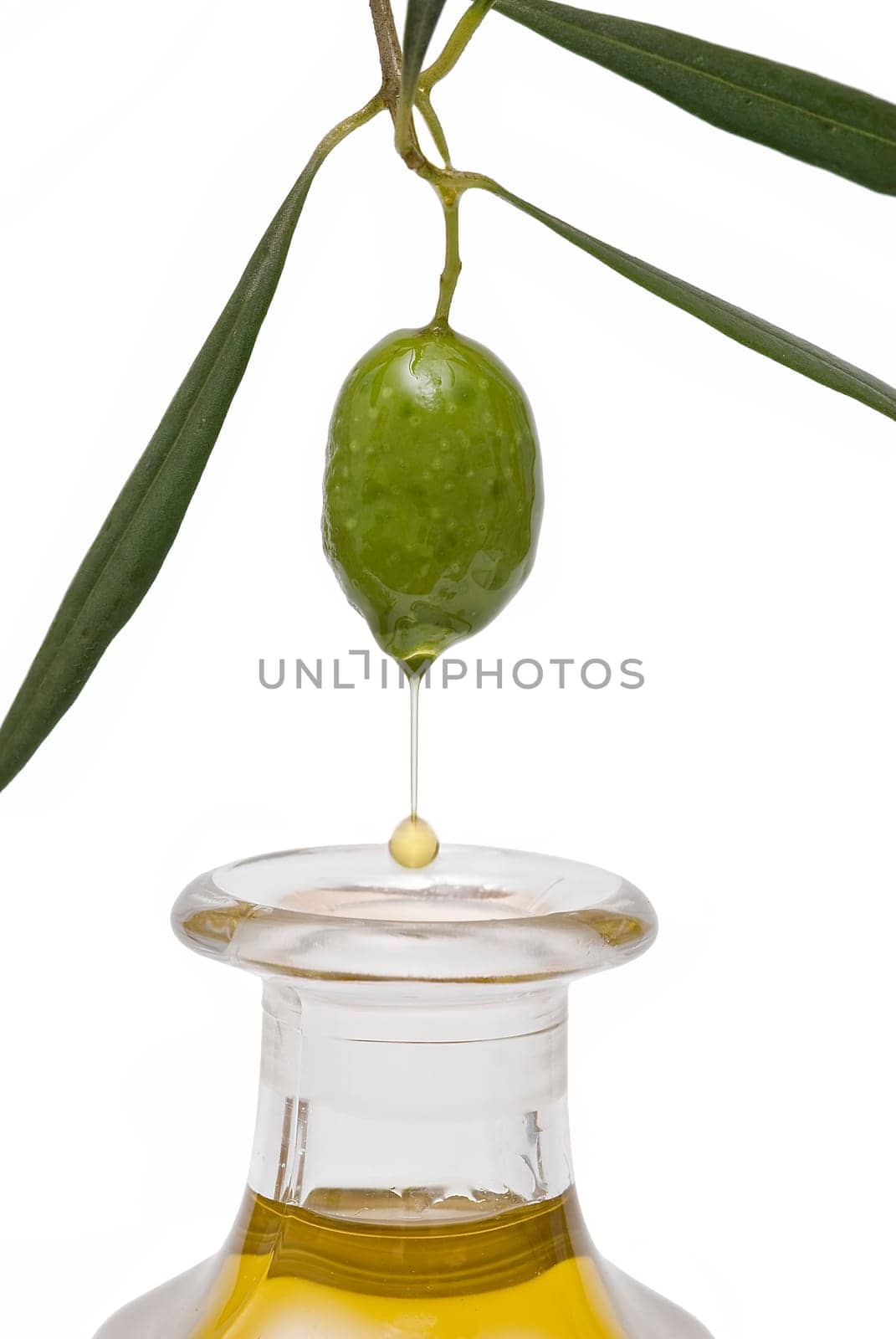 Olive oil dripping from one green olive over a white background.