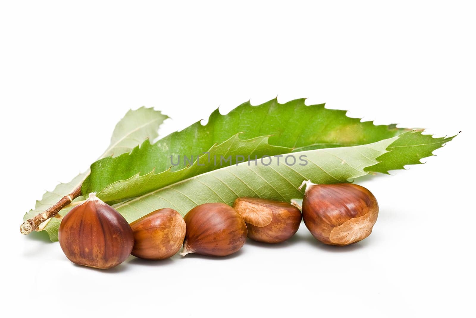 Some fresh chestnuts isolated over a white background.