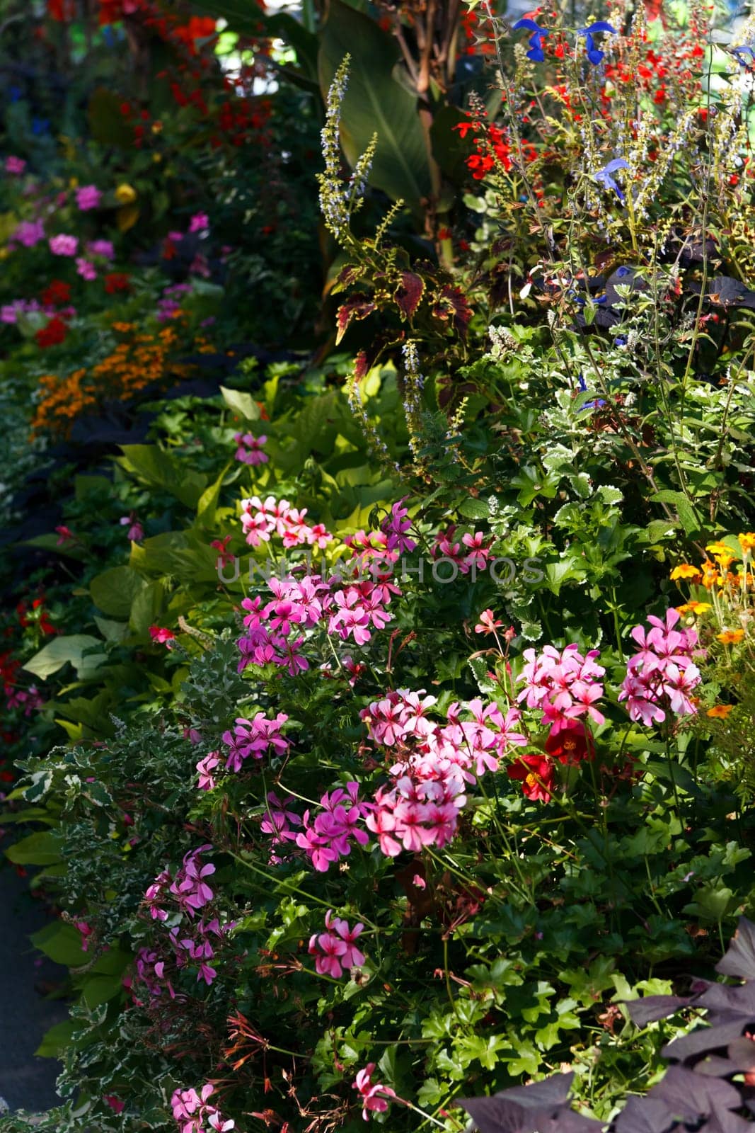 Avenue with flowers,Montreux,Lake Geneva