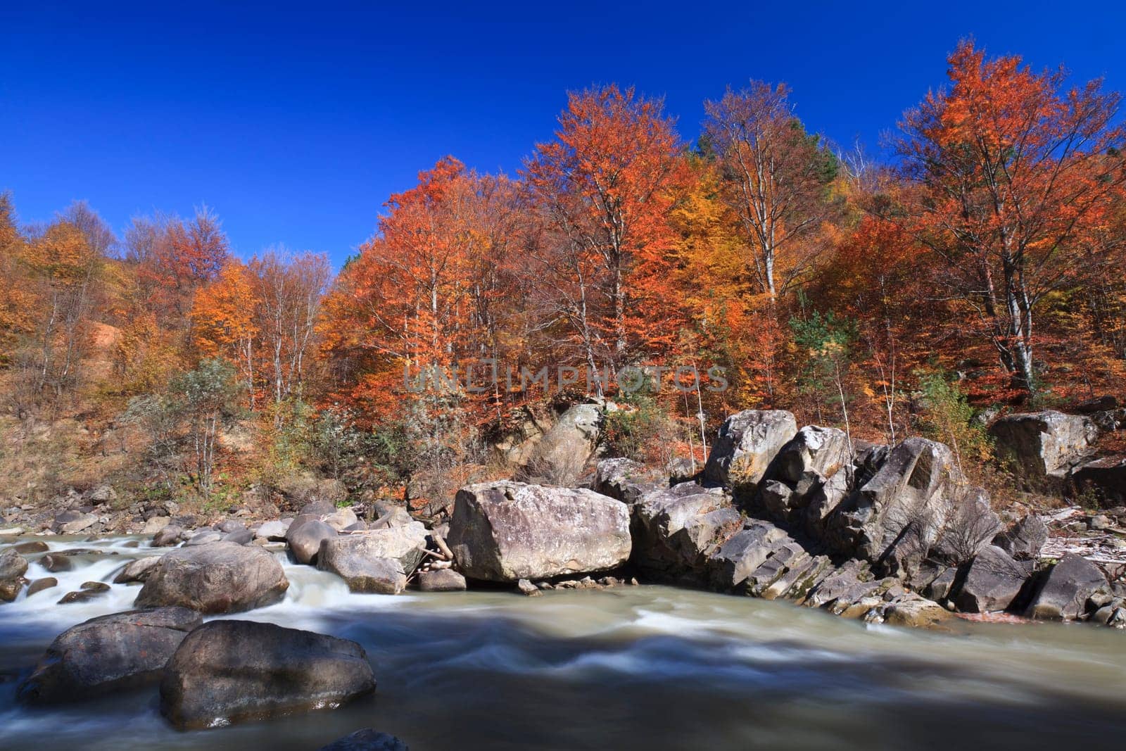 a mountain stream and a beautiful autumn forest