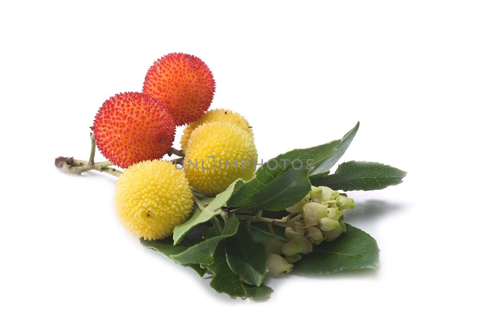 Fresh arbutus fruits isolated over a white background.