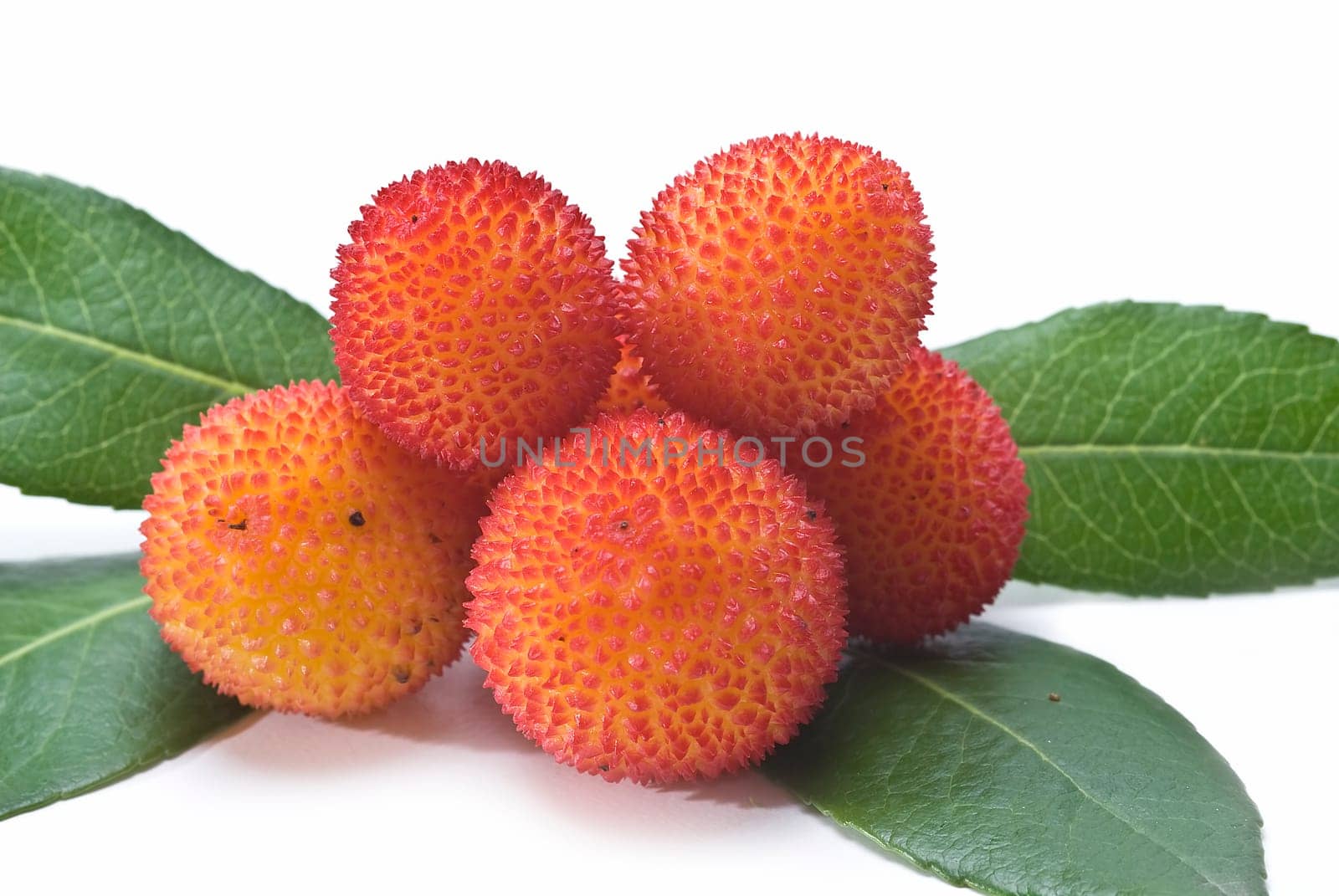 Fresh arbutus fruits isolated over a white background.