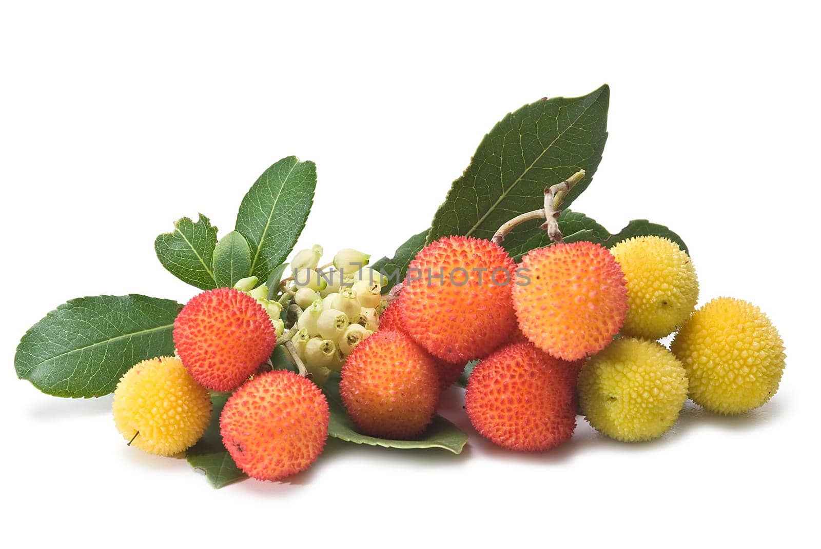 Fresh arbutus fruits isolated over a white background.