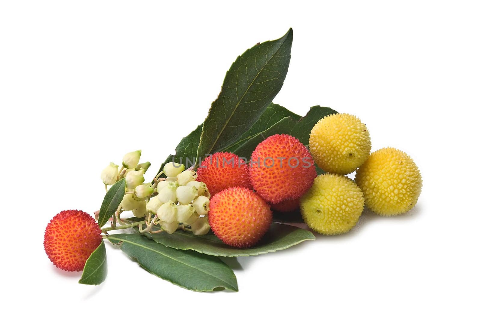 Fresh arbutus fruits isolated over a white background.