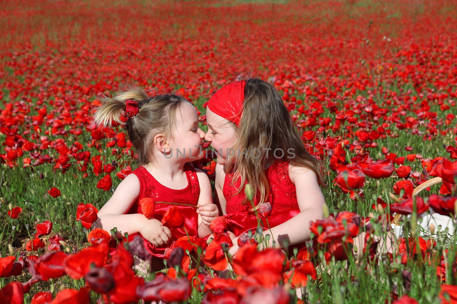 little girls sitting in summer poppy field