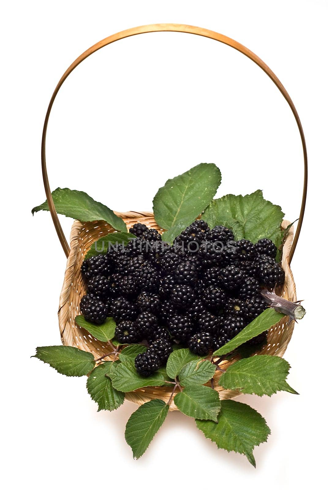 A basket with blackberries isolated over a white background.