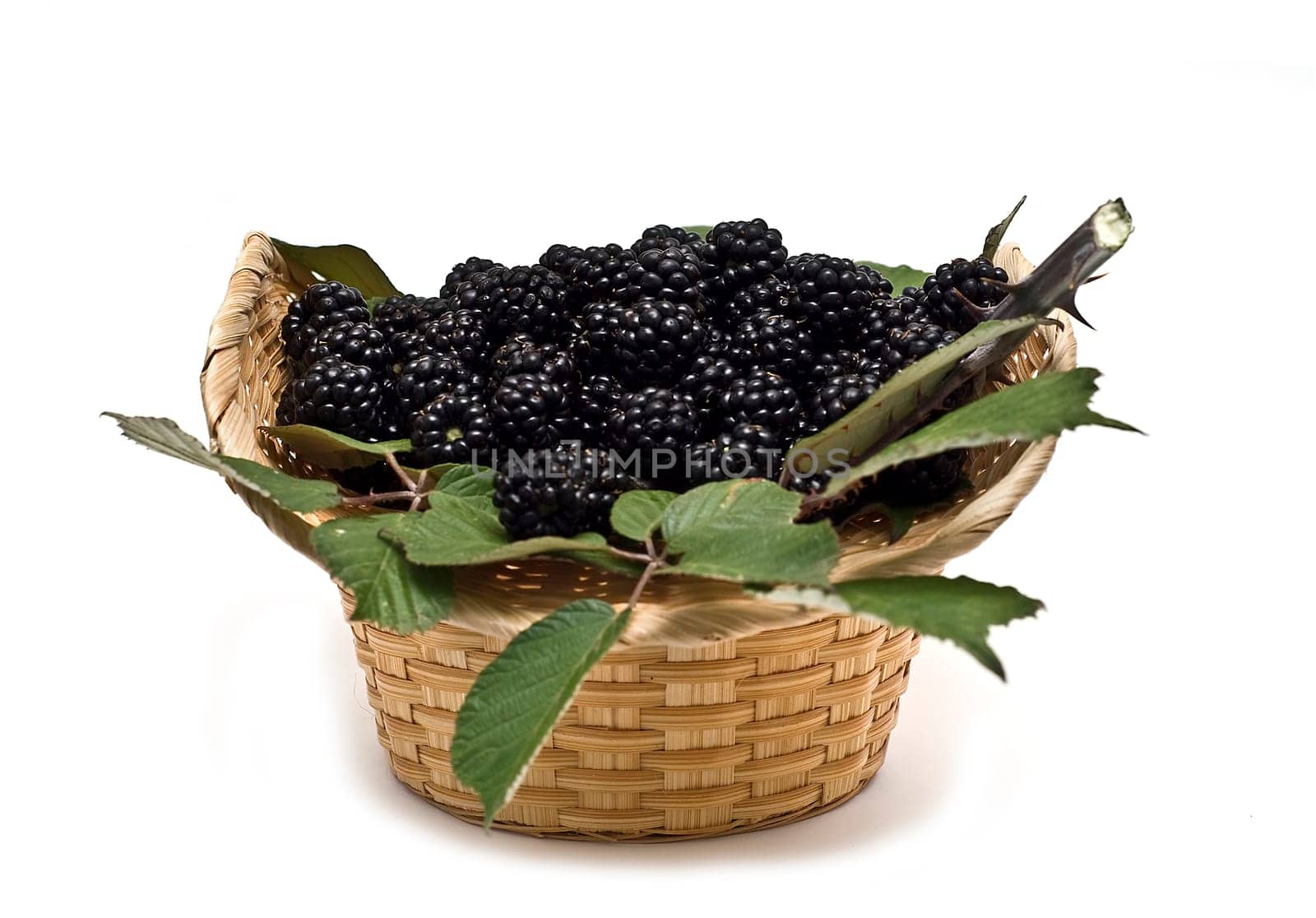 A basket with blackberries isolated over a white background.