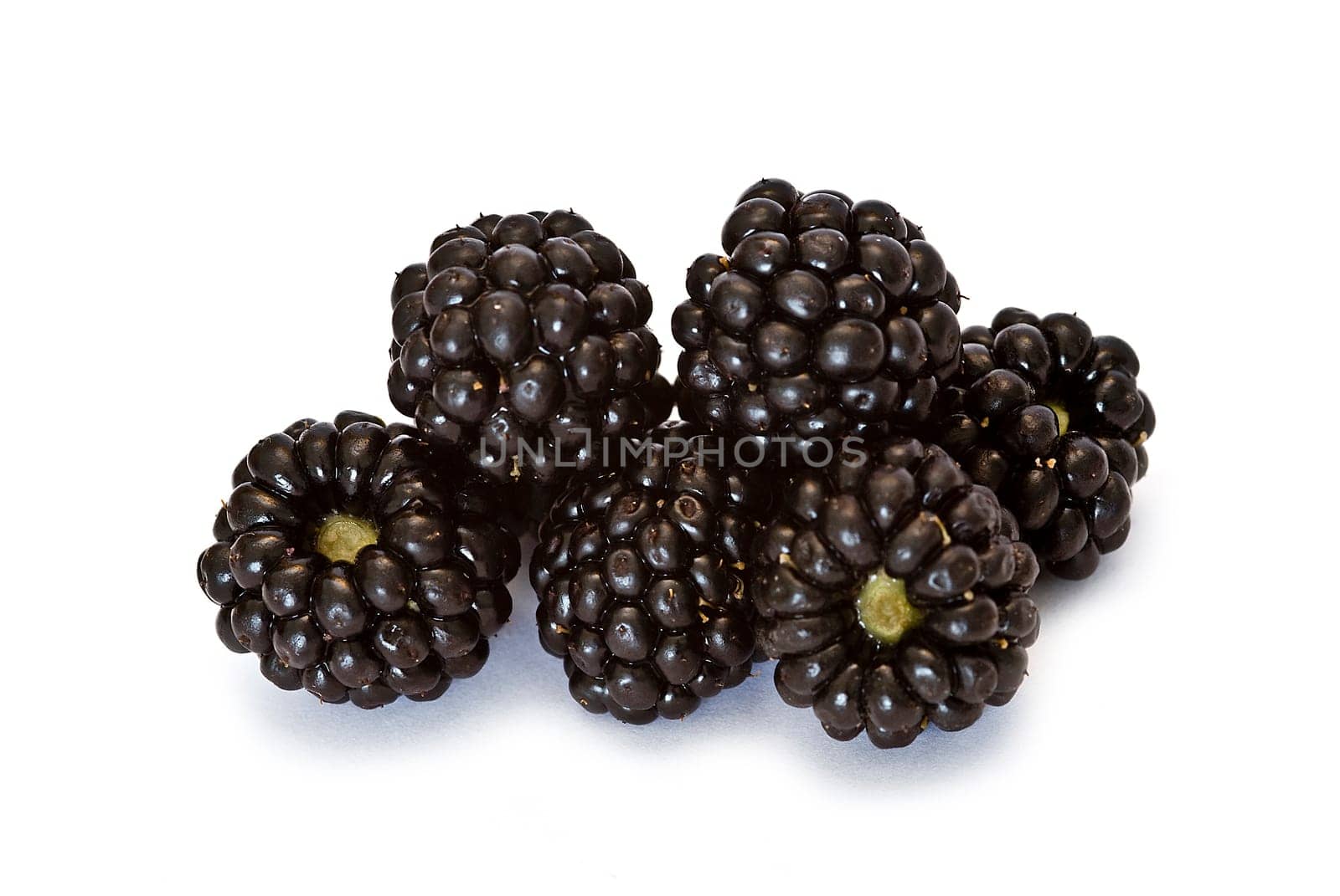 Blackberries isolated over a white background.