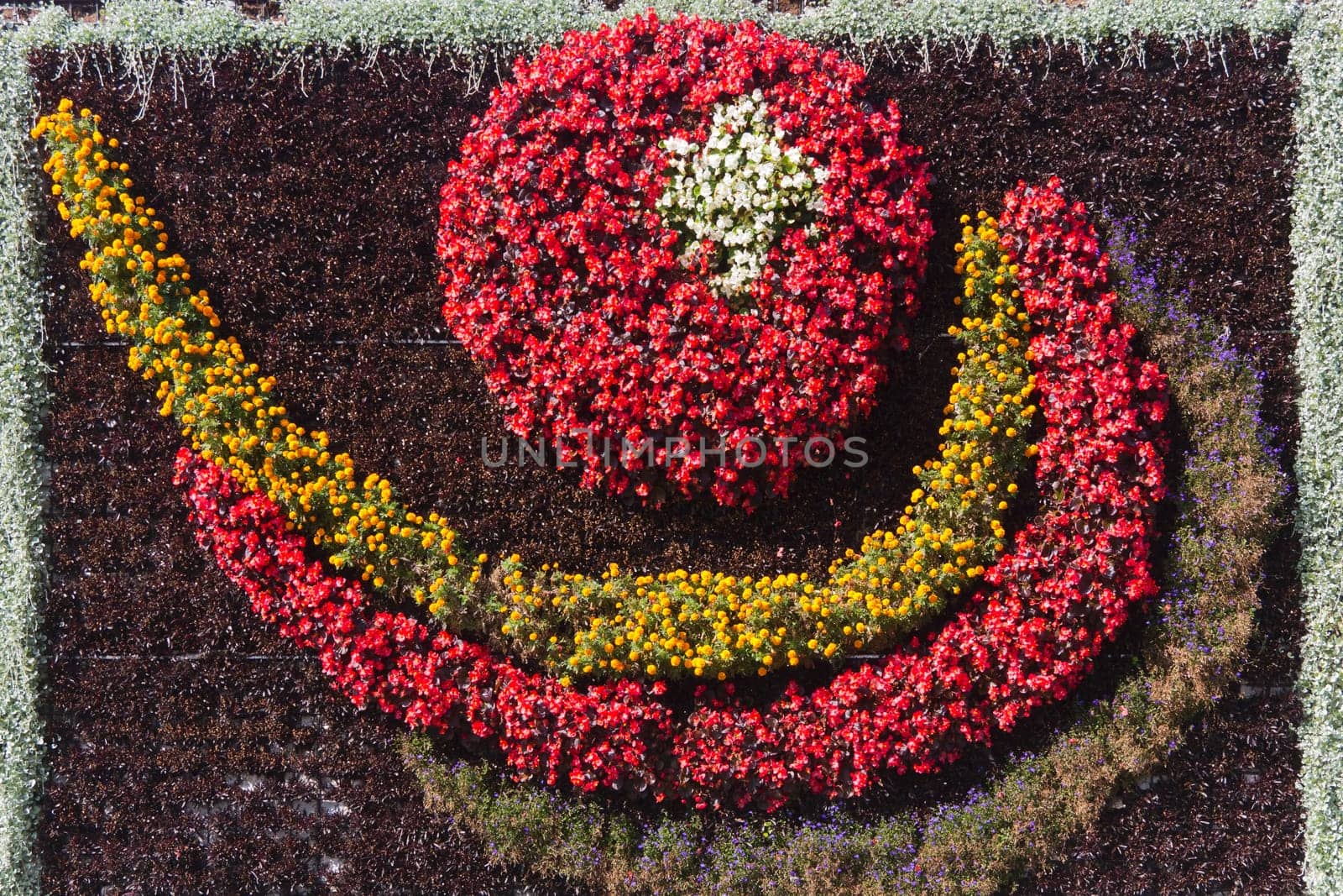 Blumen Allee in Lausanne,Lake Geneva,Switzerland