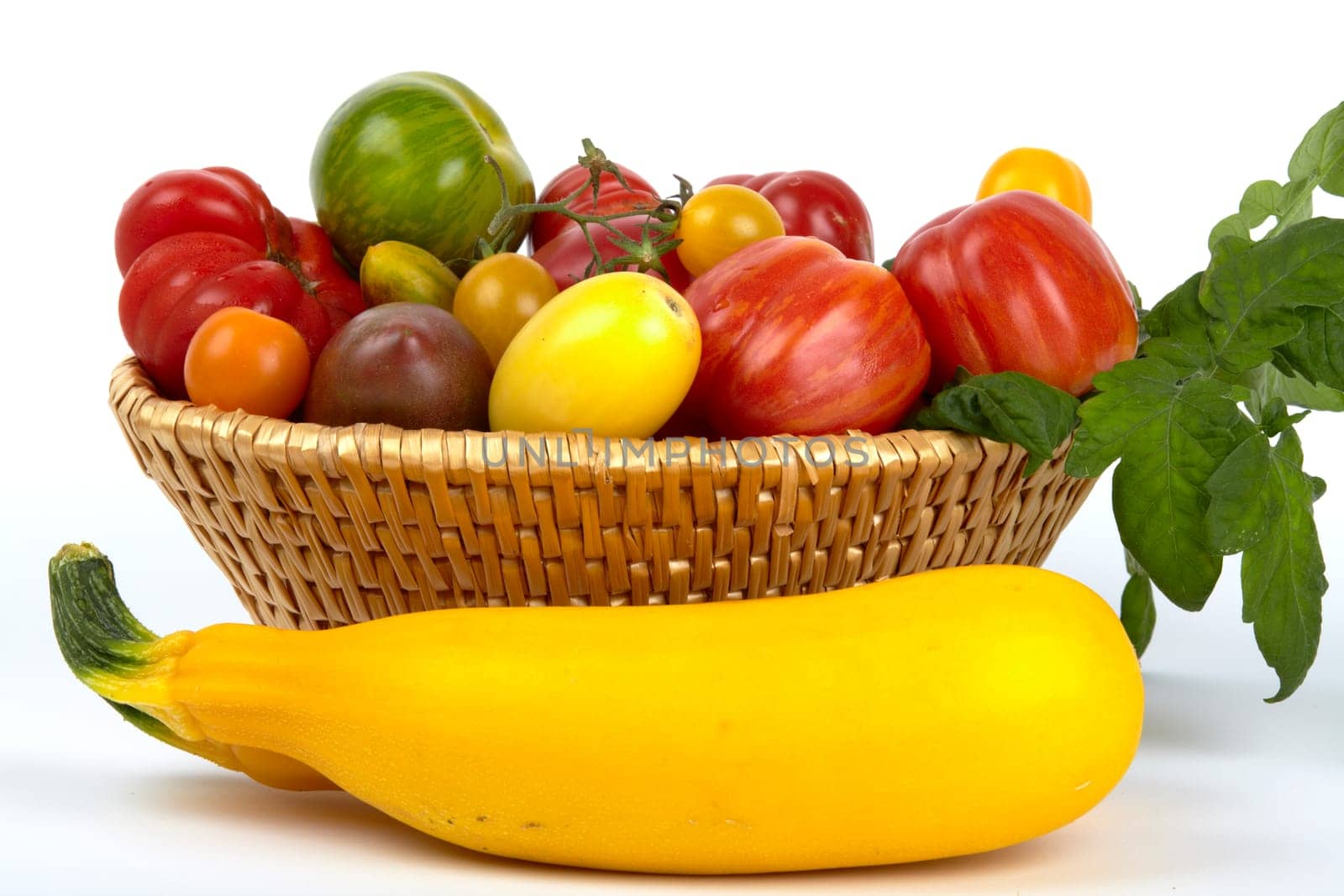 Basket with many colorful organic tomatoes and two yellow zucchinis in front of it. Basket with colorful and organic tomatoes in the foreground are two yellow zucchini