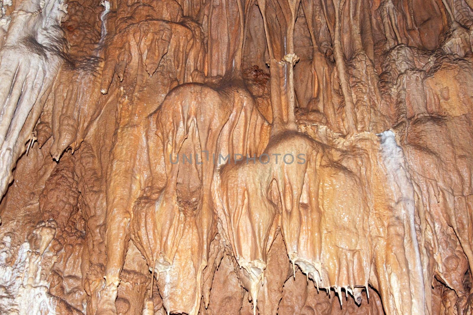 Javorice caves are located in central Moravia, about 10 miles west of Litovel city. Underground cave system Javorice a complex of corridors, domes and divides. Cave excel beautiful stalactite formations.Javorice, Moravia, Czech republic.