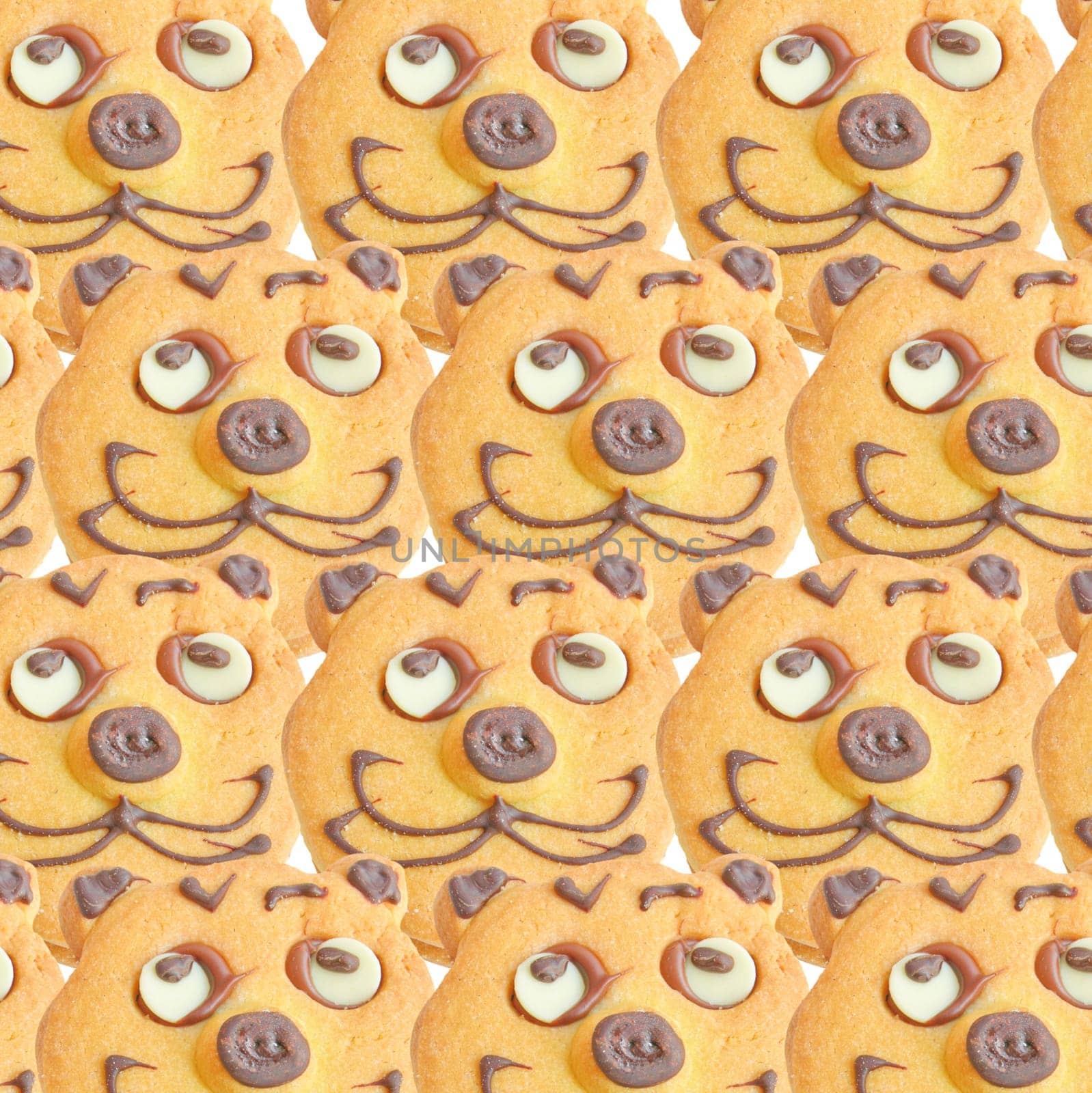 Range of homemade baked cookies with cat face isolated on white