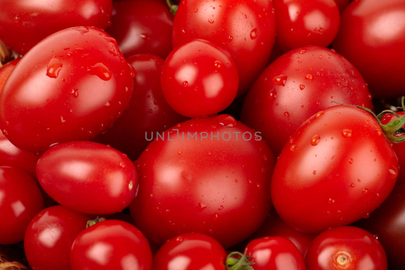 Many fresh different organic tomatoes with water drops