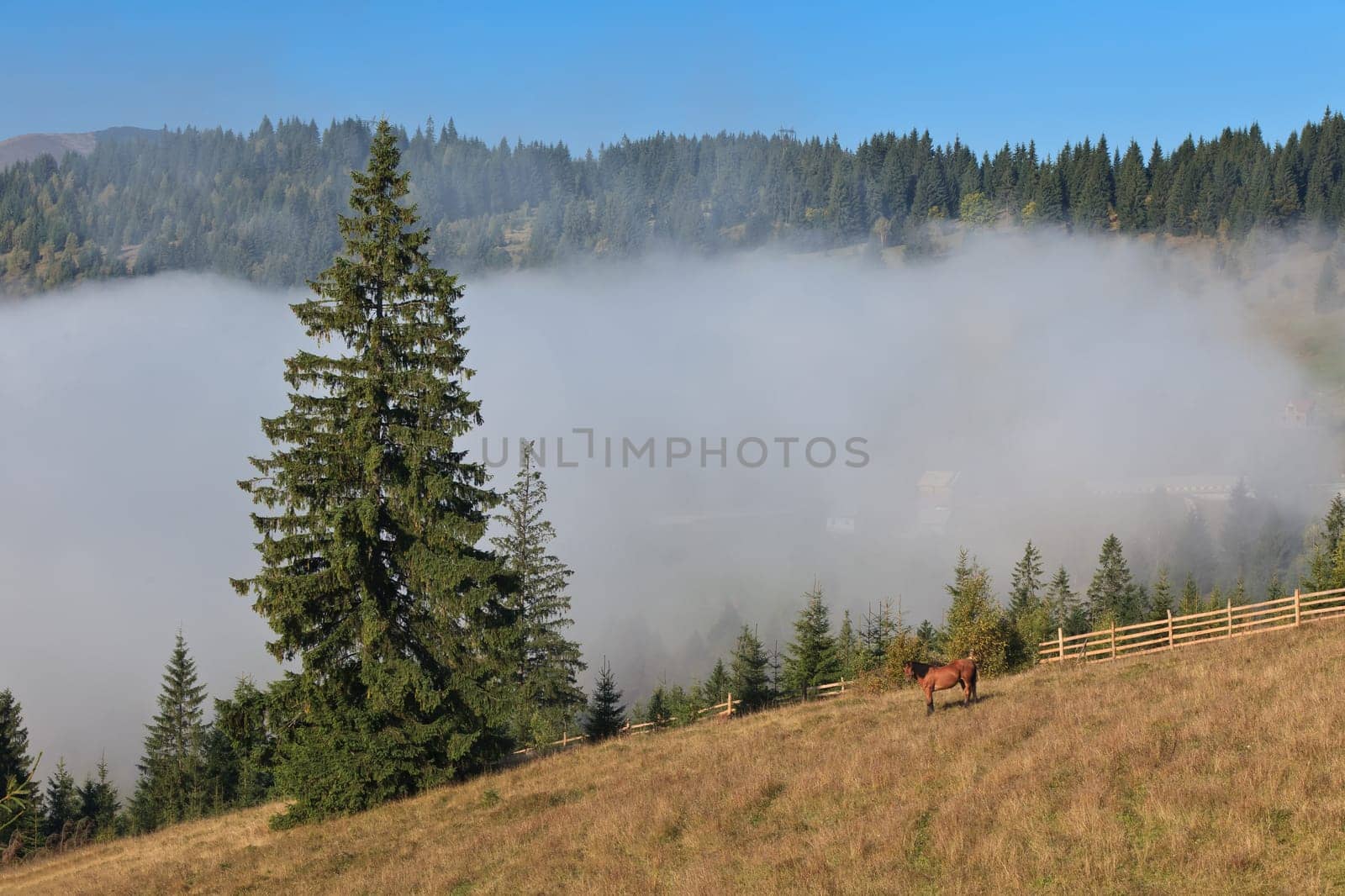 a rustic landscape with a horse grazing