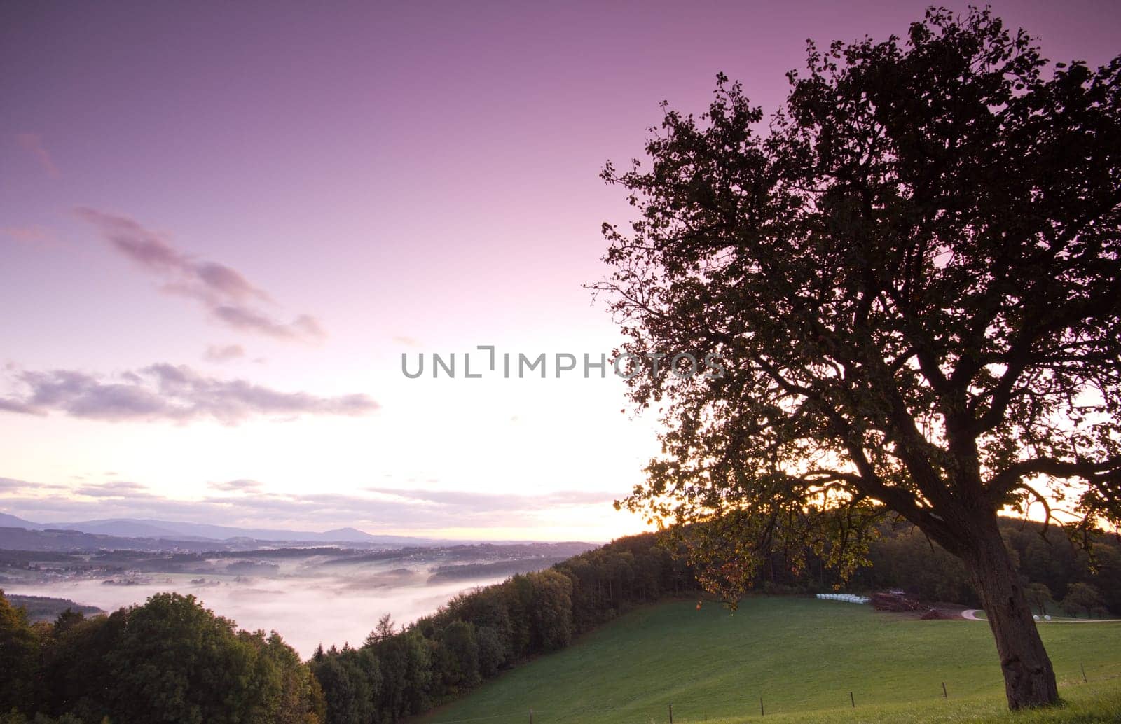 Autumnal sunrise