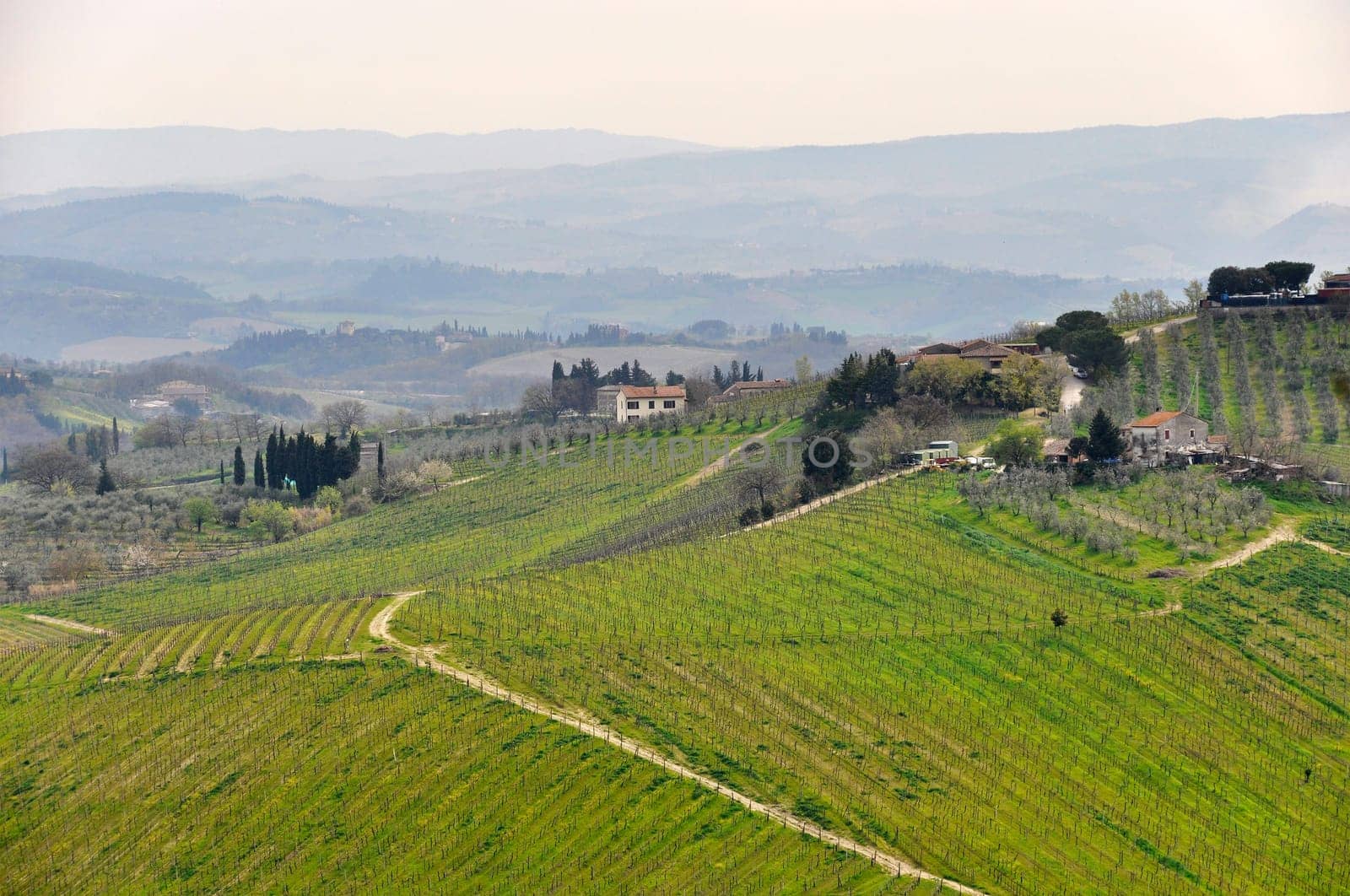 Tuscany landscape in spring