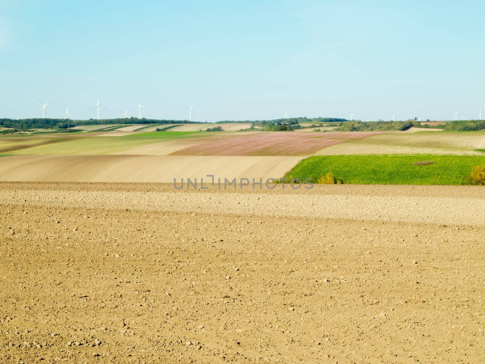Agriculture,dry soil from field in landscape
