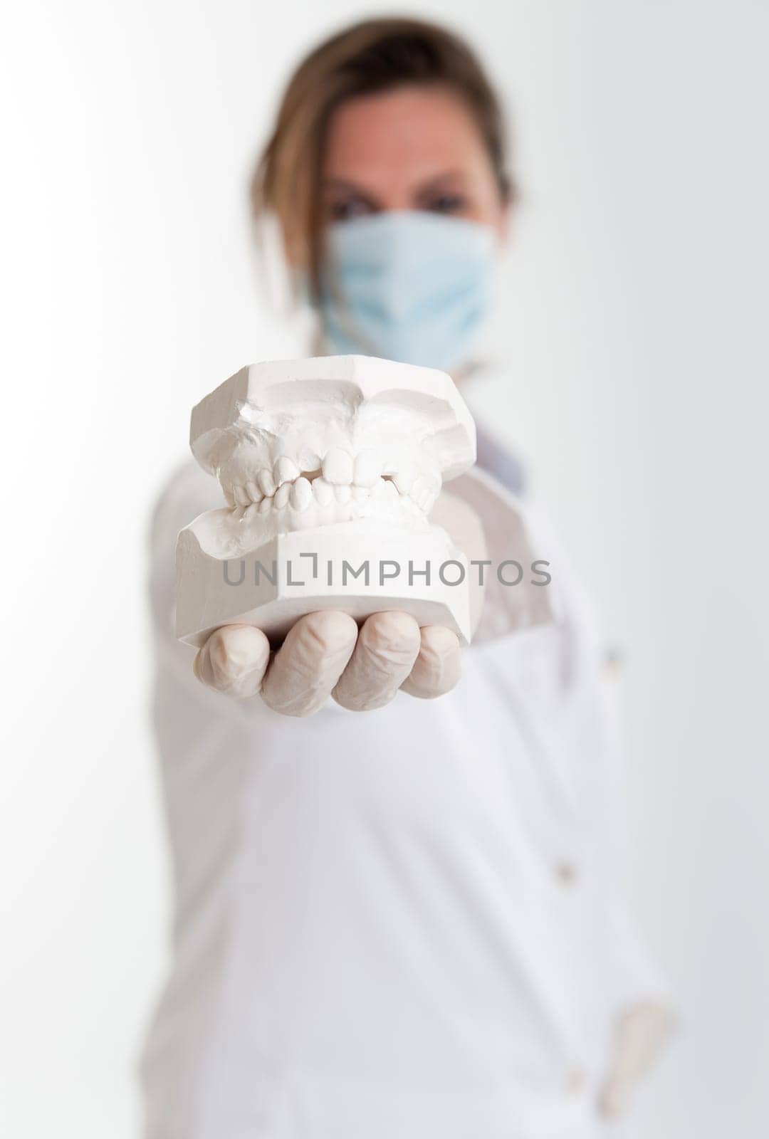 Female dentist holding a plaster mold of a denture to the camera