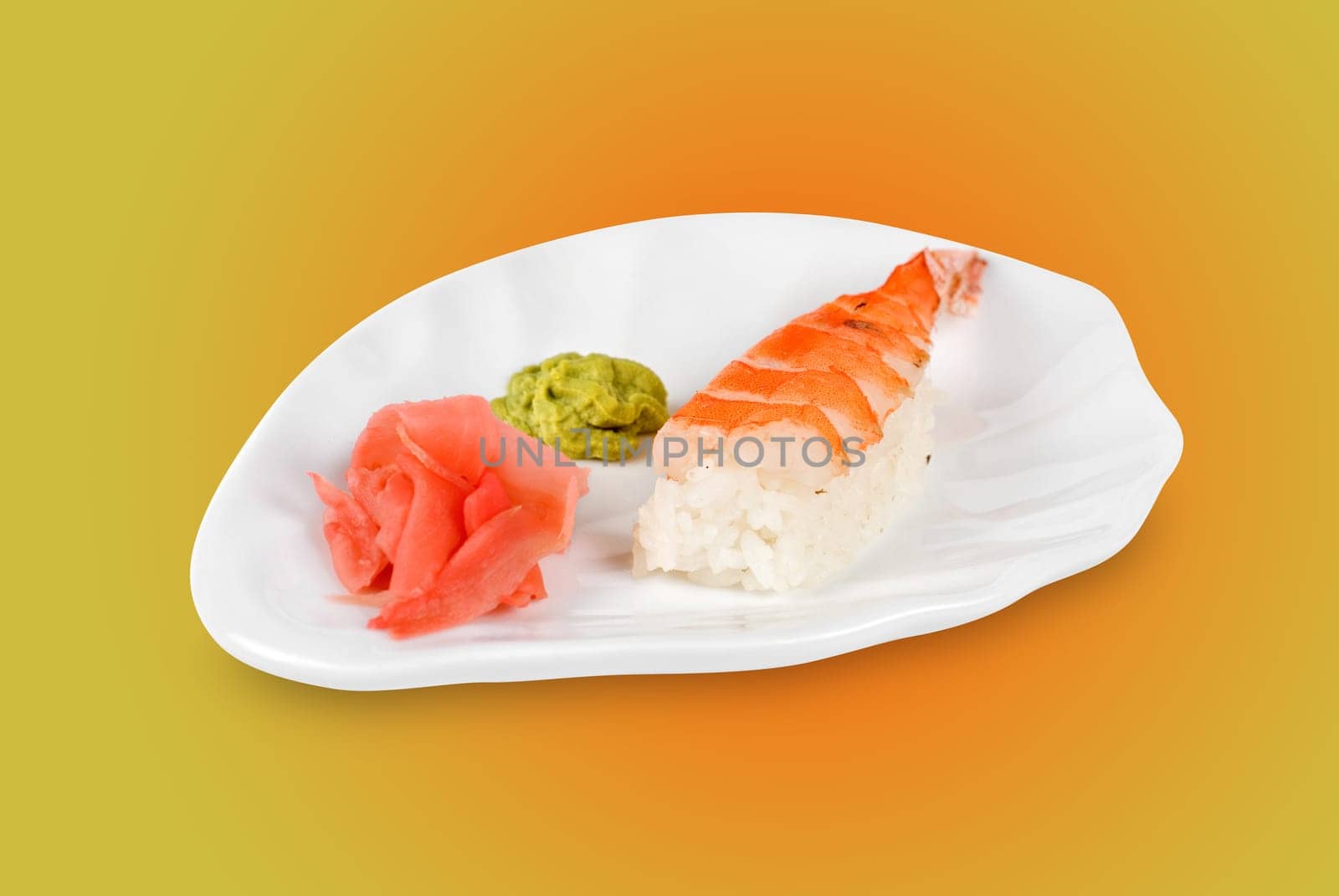 nigiri sushi closeup isolated on color background