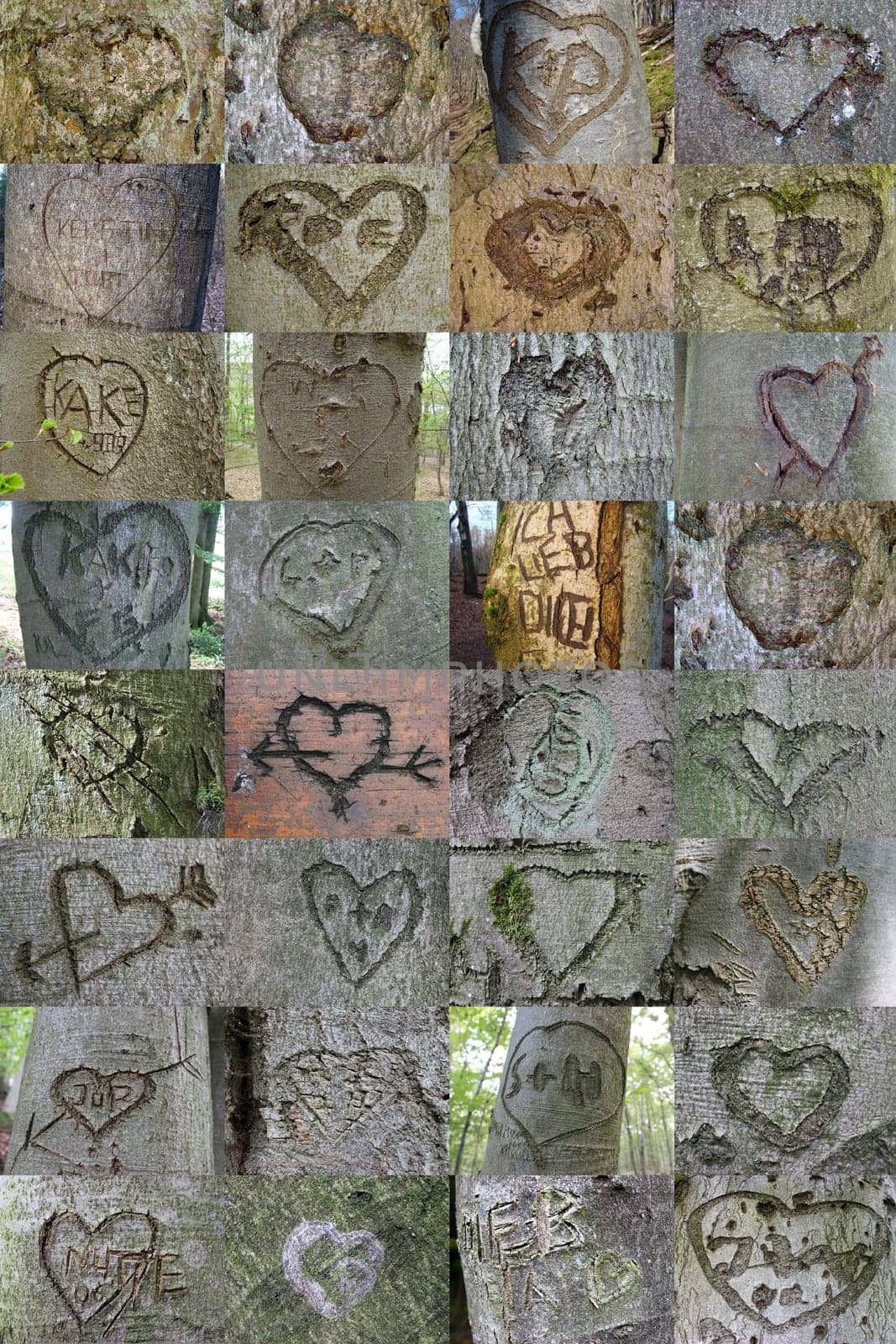 Tree Heart Collage