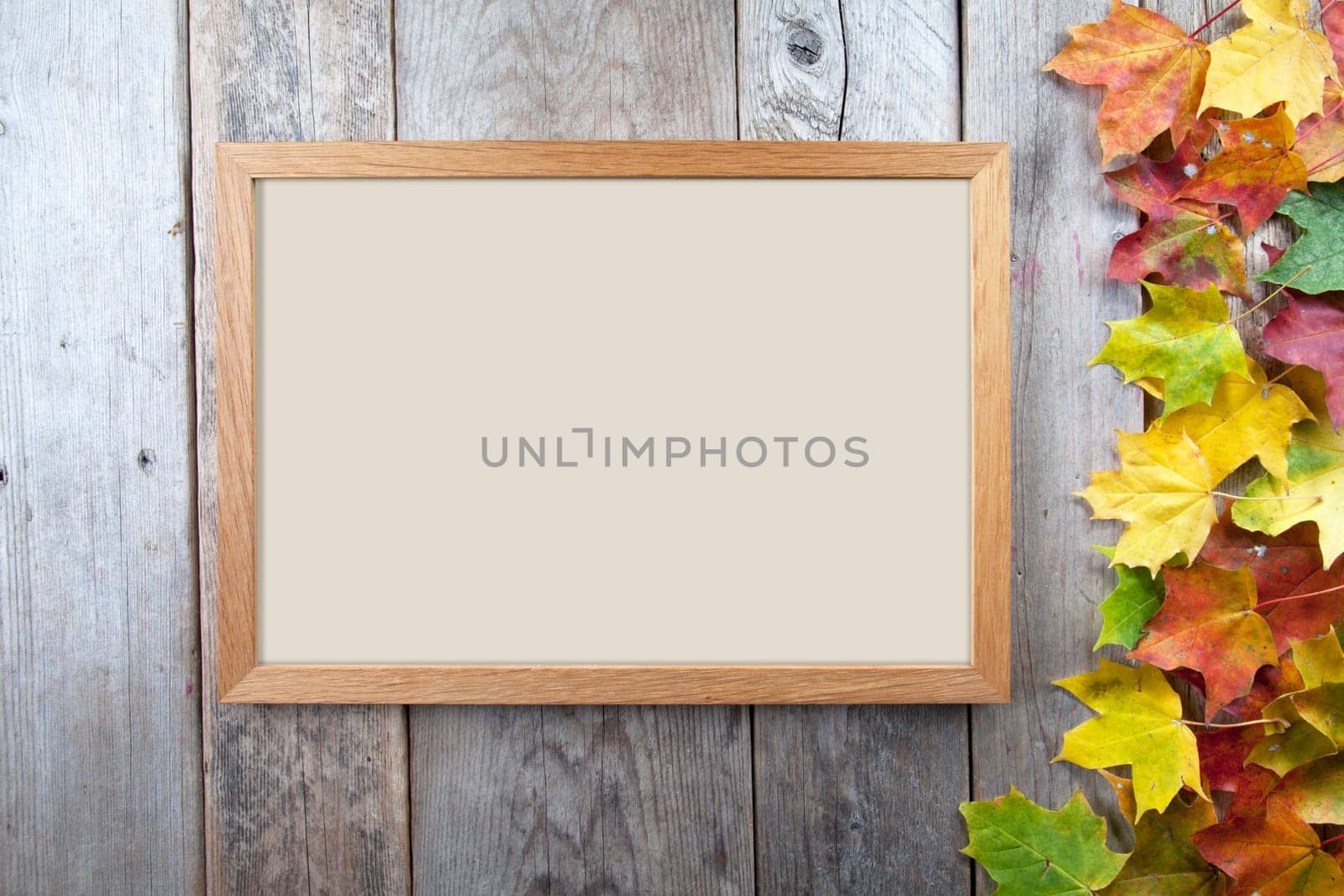 Autumn leaves and frame on wooden background