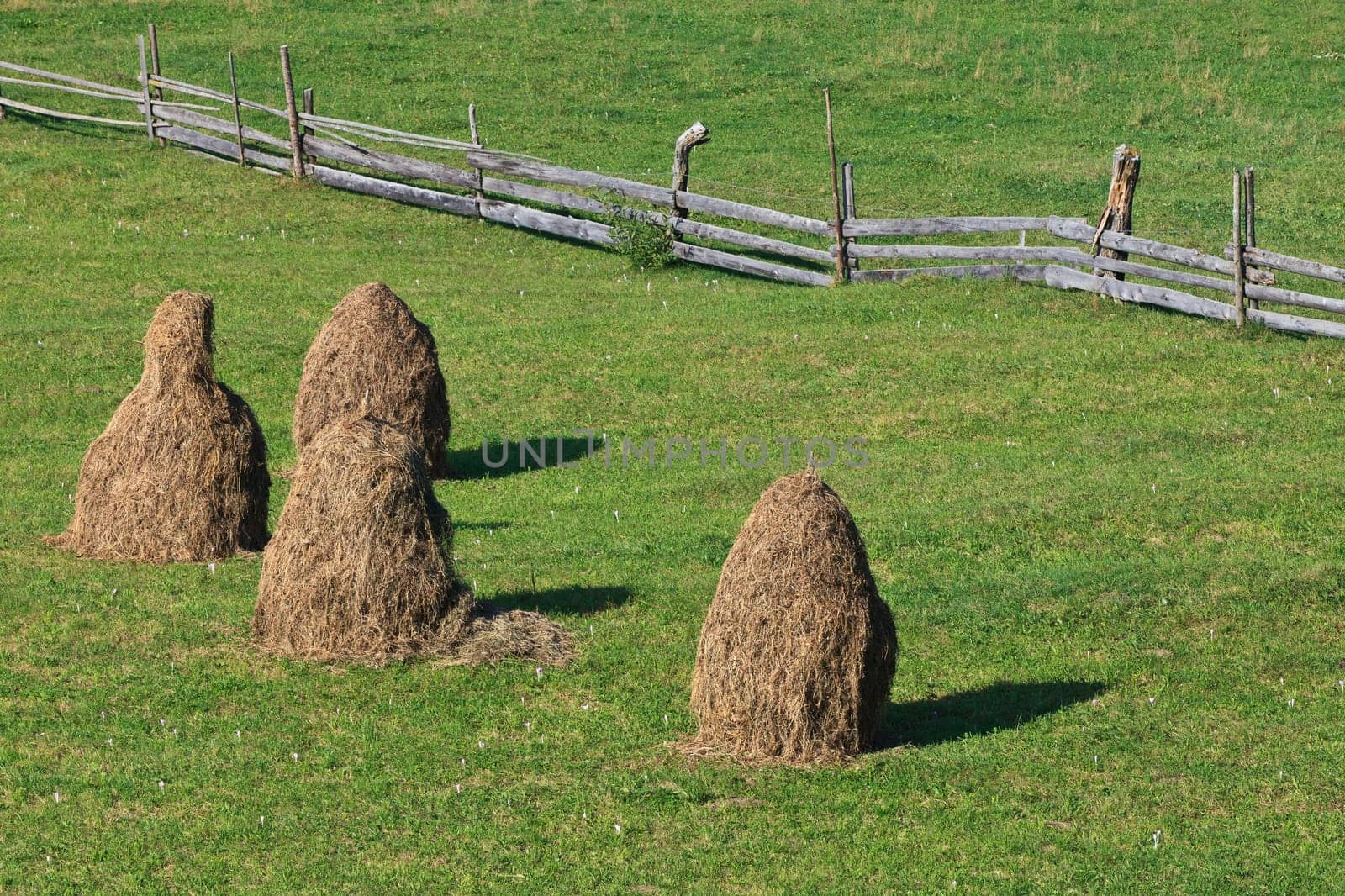 a beautiful rural landscape in the autumn