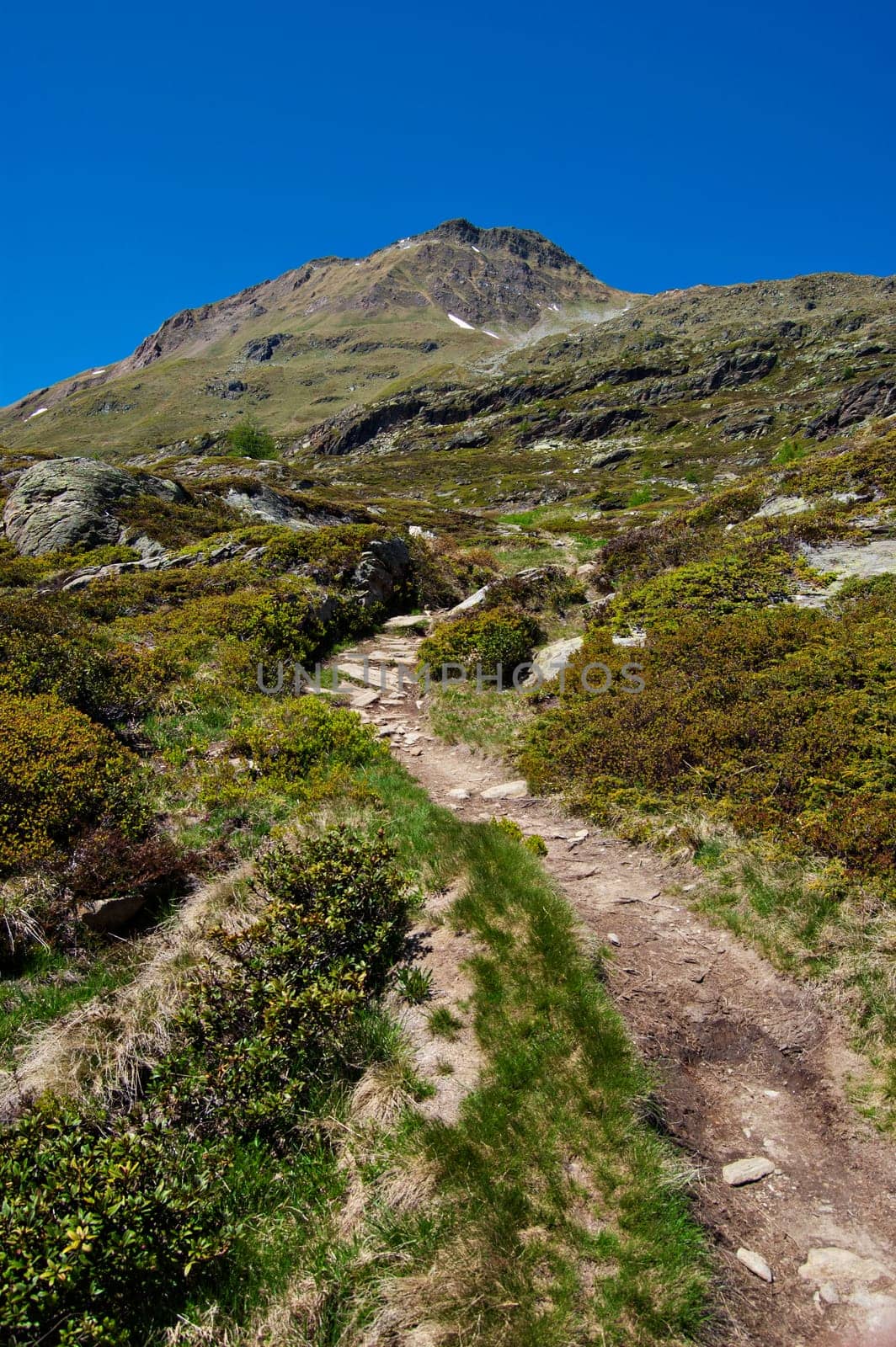 summer view of a mountain path, Swiss alps