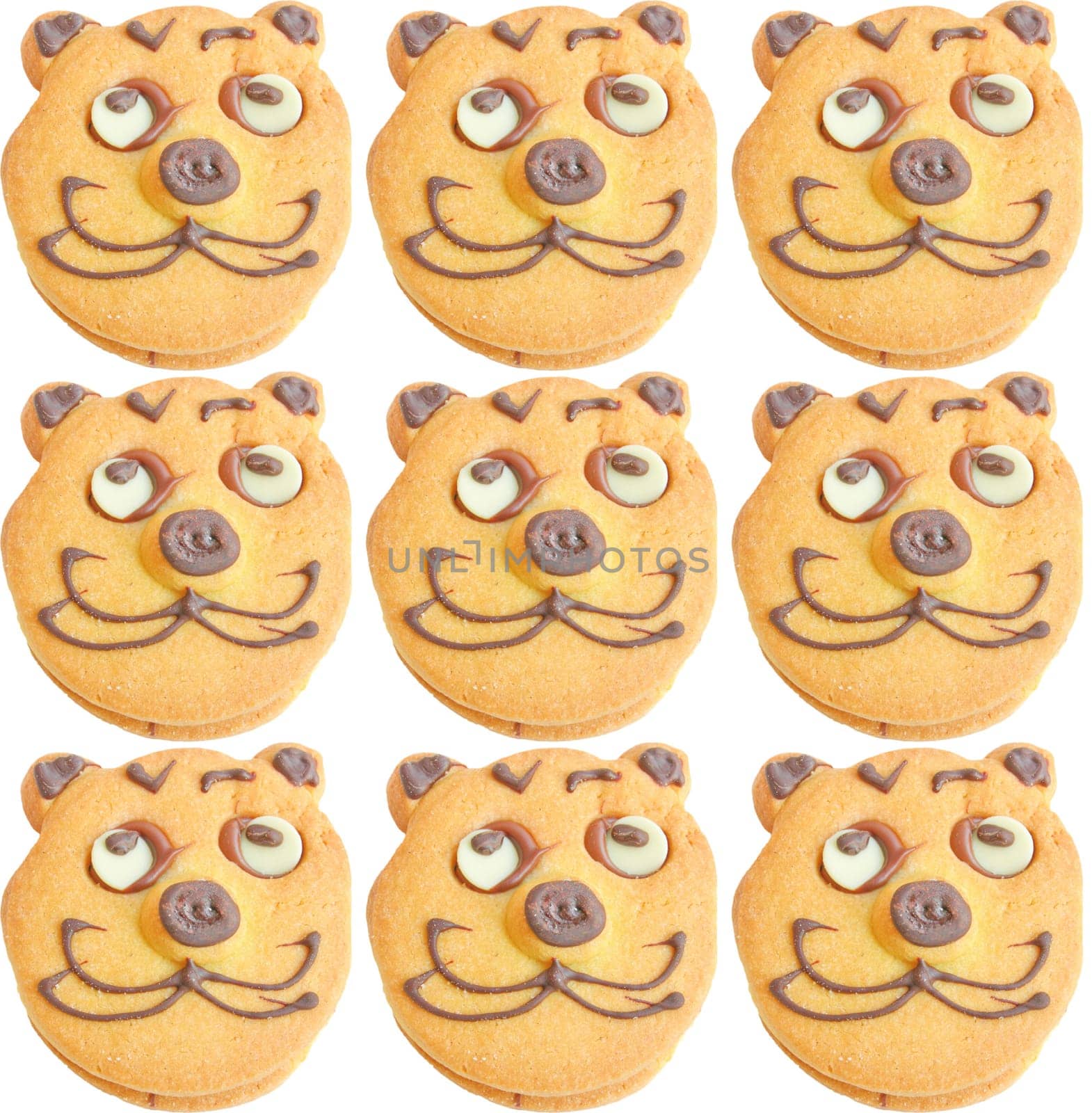 Range of homemade baked cookies with cat face isolated on white