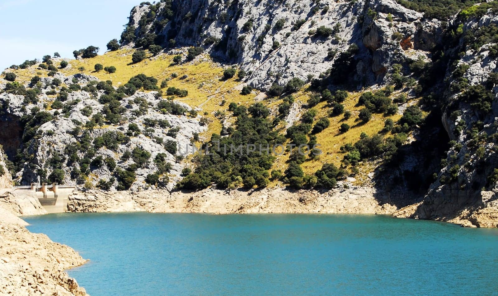 Embale de Gorg Blue