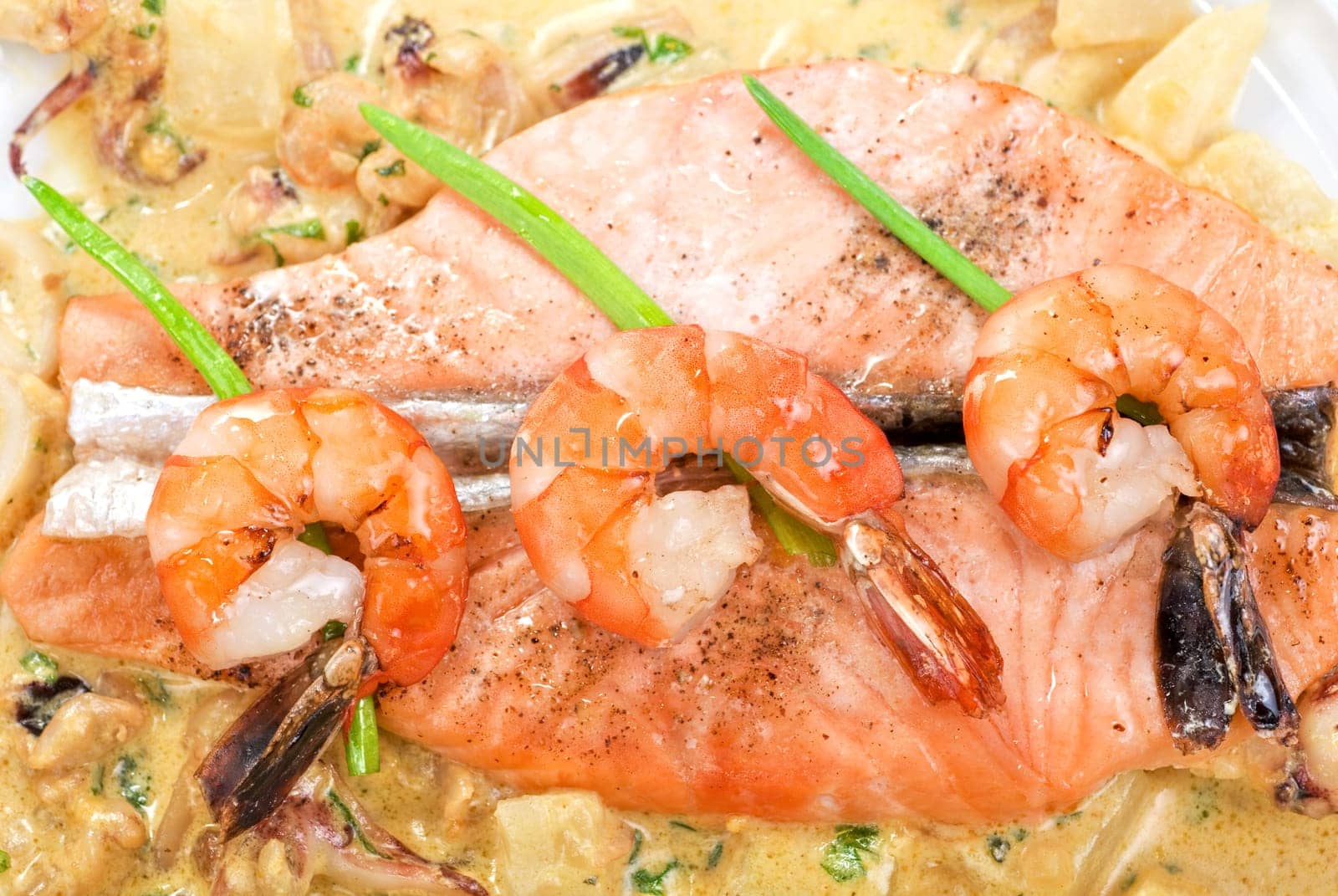 Salmon fish and seafood tasty gourmet dish closeup